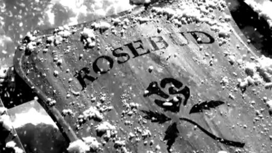 Cropped Citizen Kane 1941 Rosebud