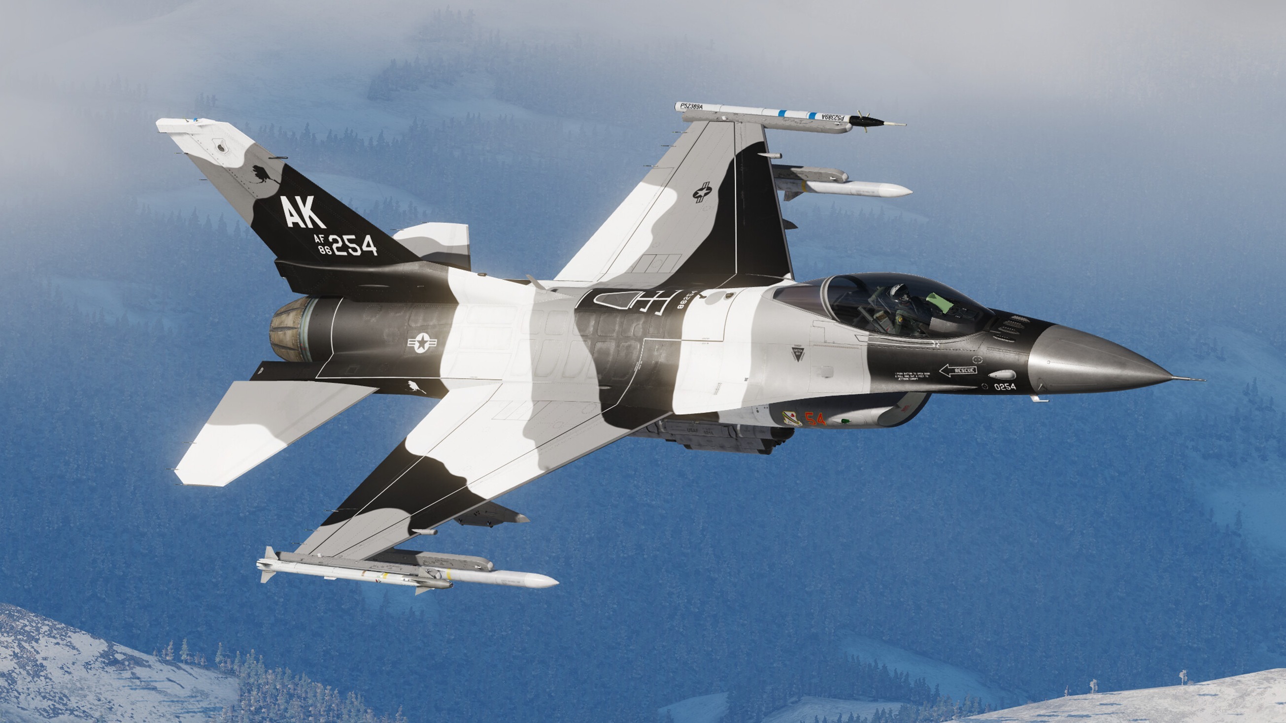 Cropped DCS World