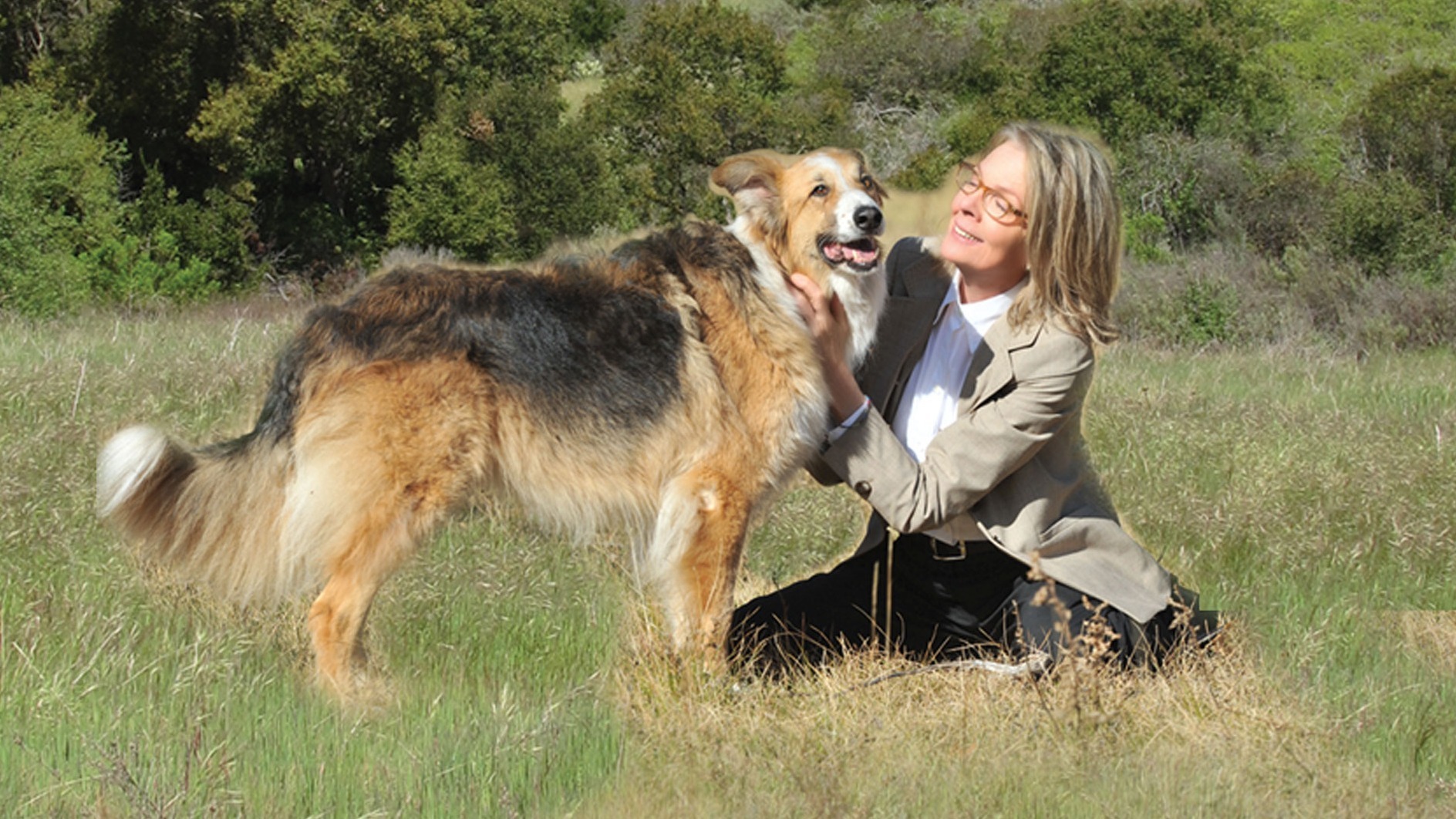 Cropped Darling Companion 2012