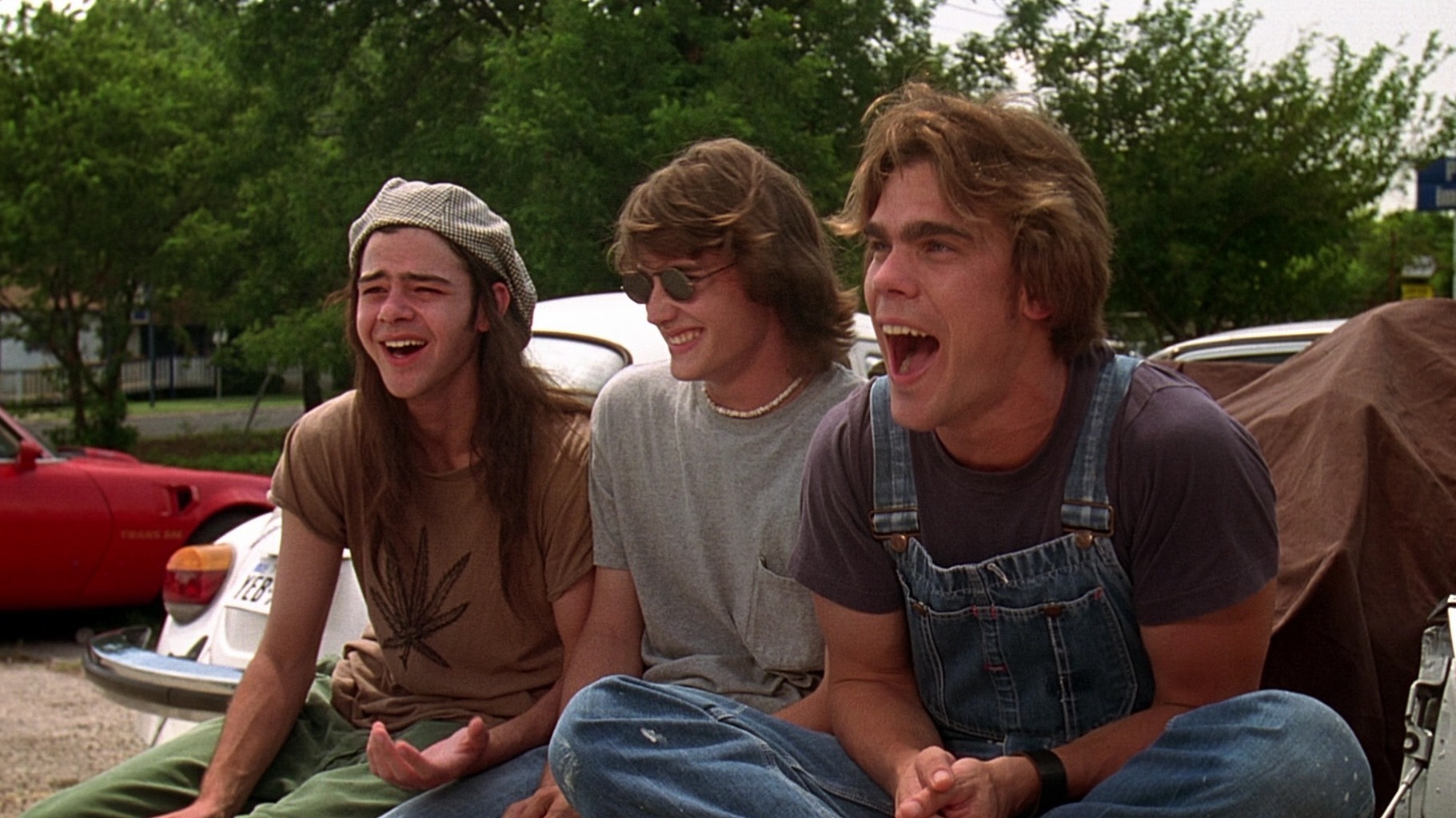 Cropped Dazed and Confused