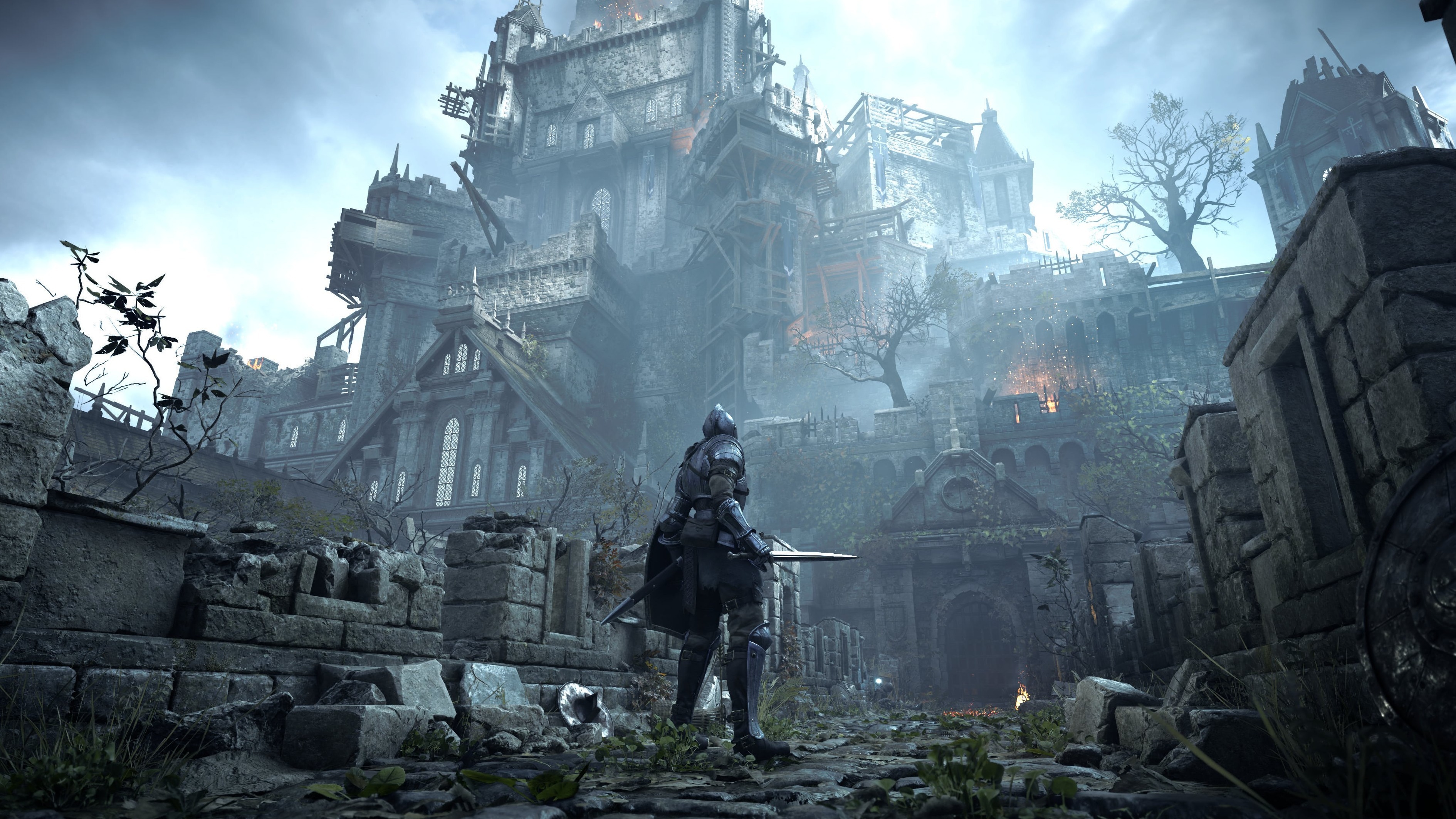 Cropped Demons Souls