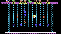 Cropped Donkey Kong Junior