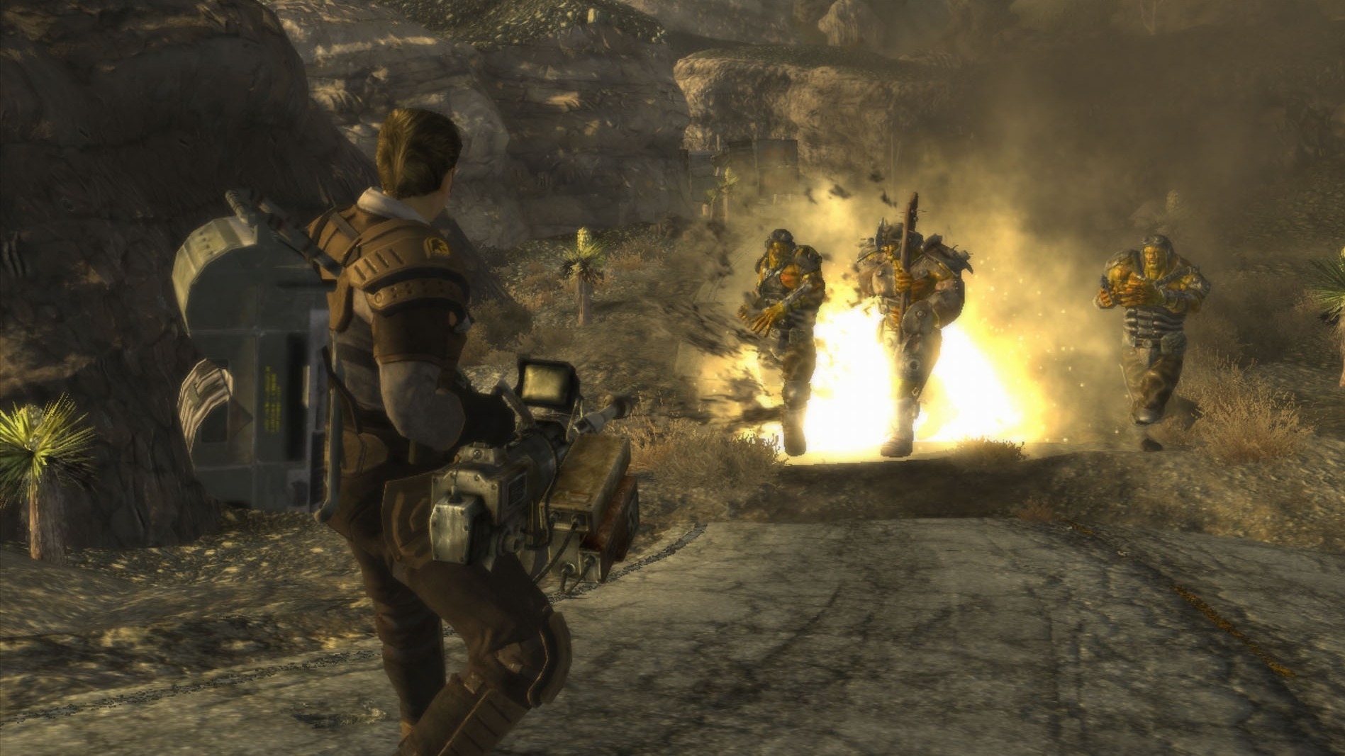 Cropped Fallout New Vegas