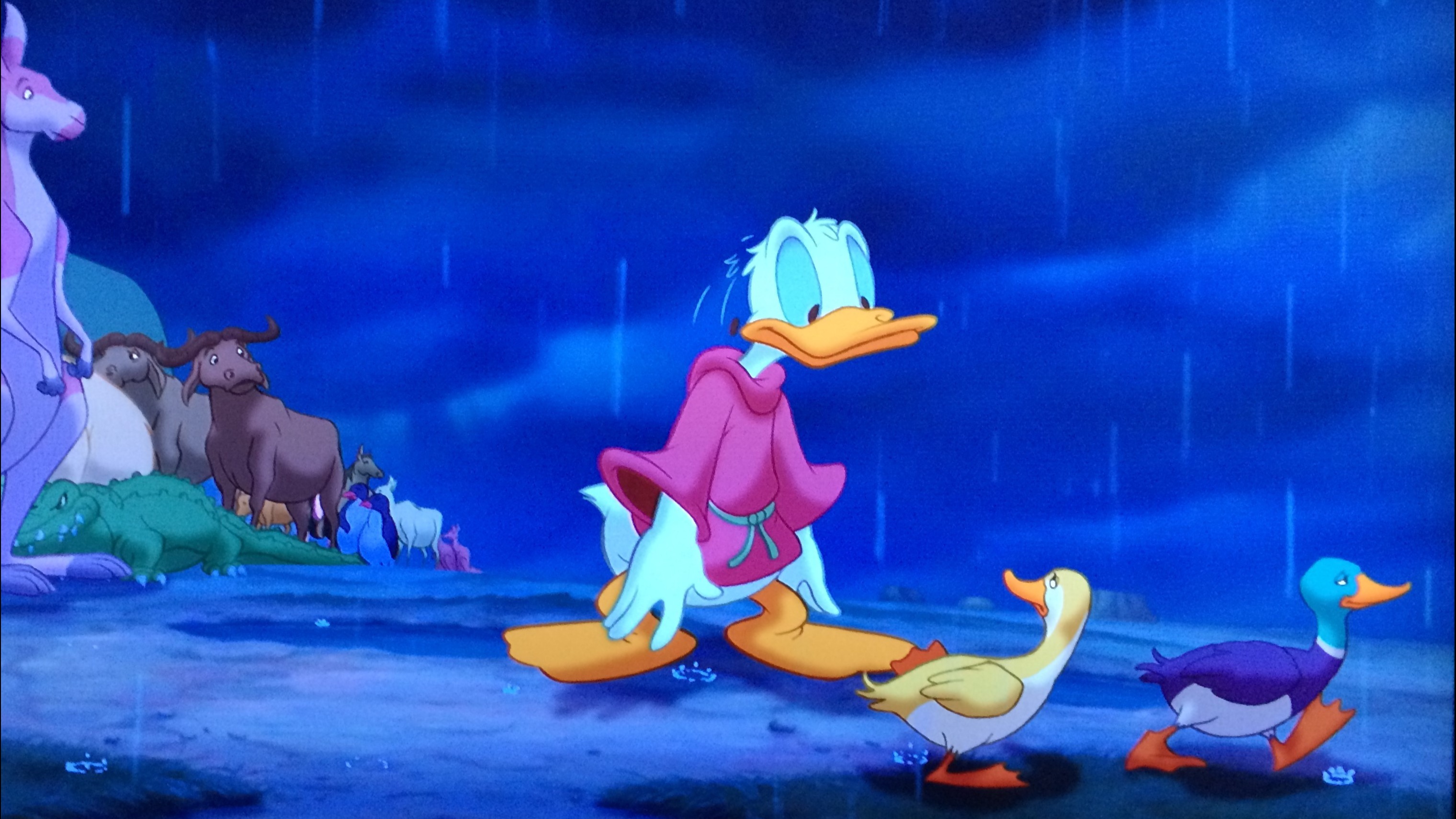 Cropped Fantasia 2000