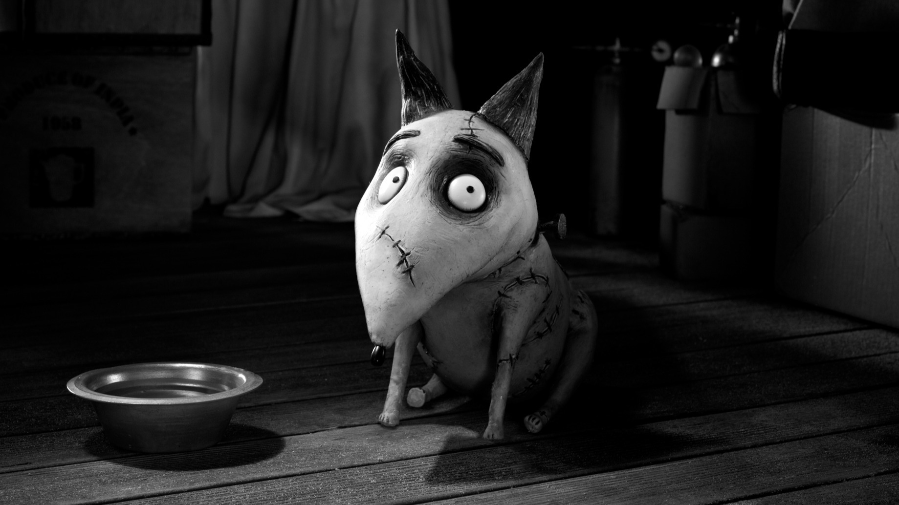 Cropped Frankenweenie