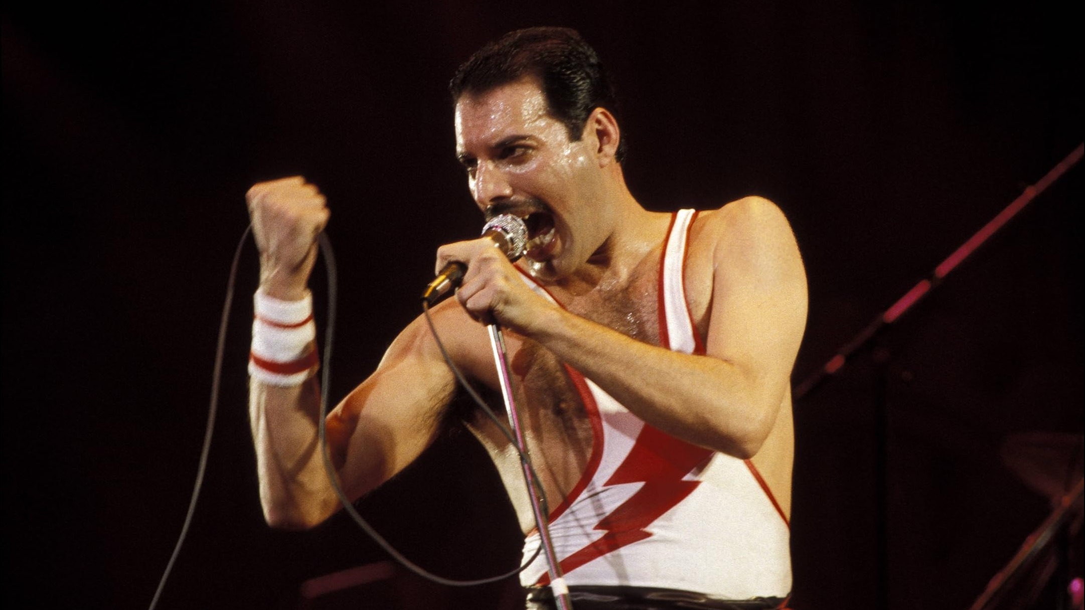Cropped Freddie Mercury