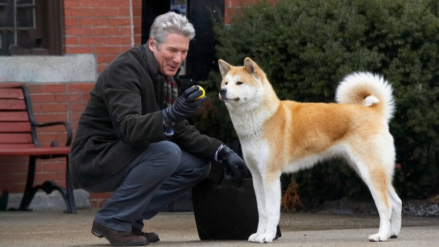 Cropped Hachi A Dogs Tale 2009