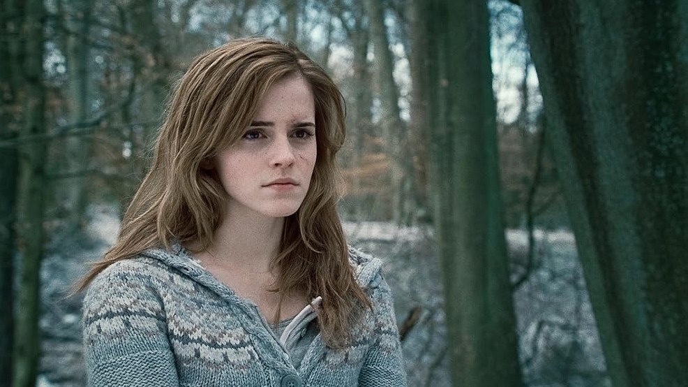Cropped Harry Potter and the Deathly Hallows Part 1 2010