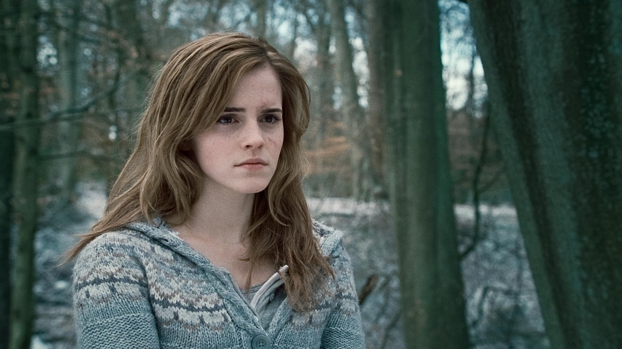 Cropped Harry Potter and the Deathly Hallows Part 1
