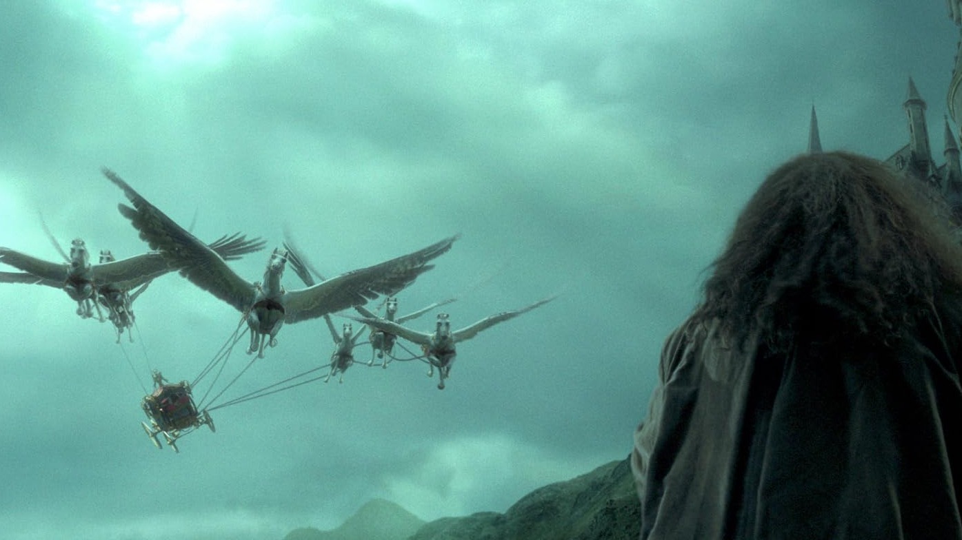 Cropped Harry Potter and the Goblet of Fire