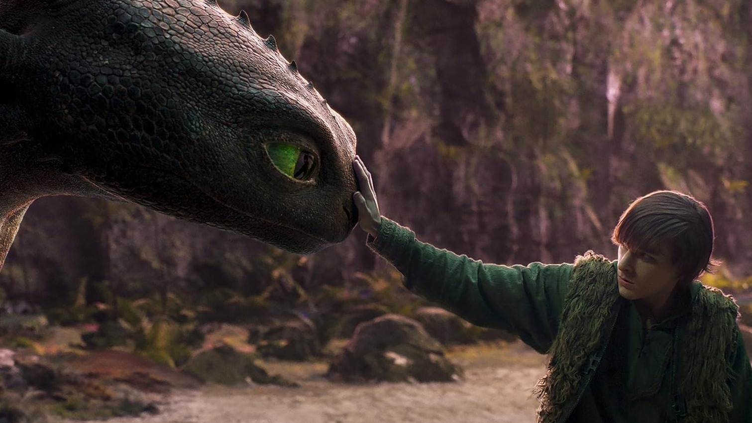 Cropped How to Train Your Dragon