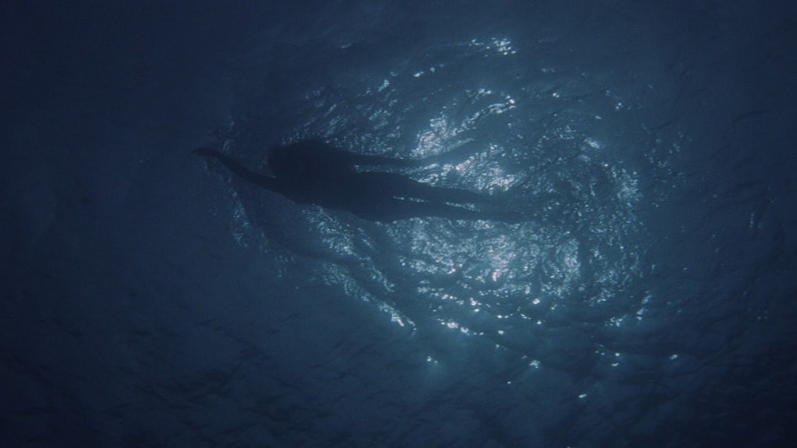 Cropped Jaws