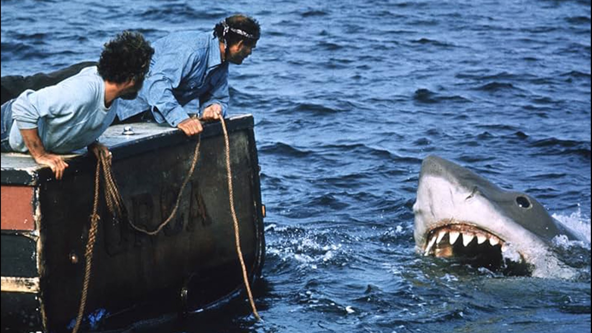 Cropped Jaws