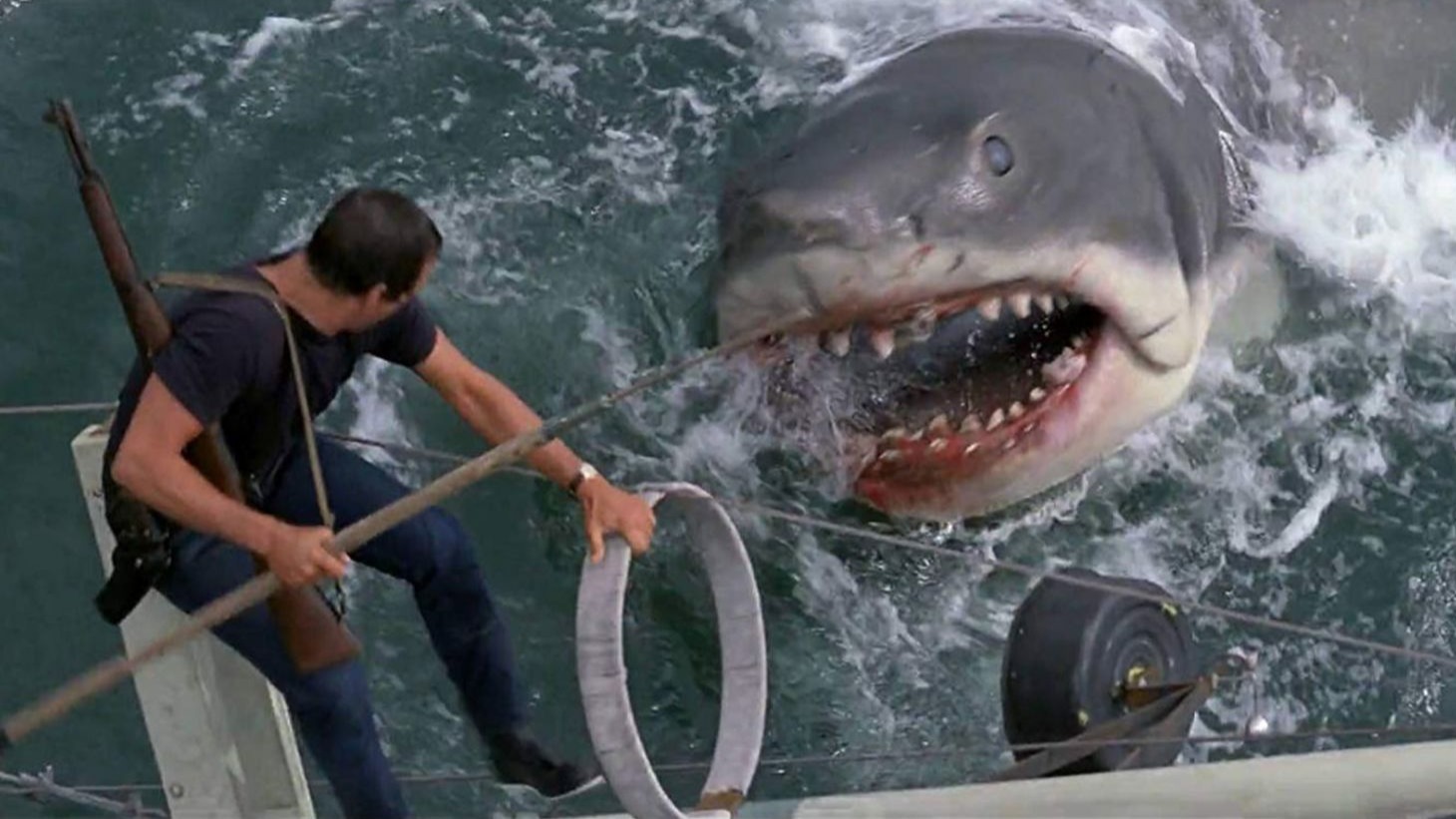 Cropped Jaws