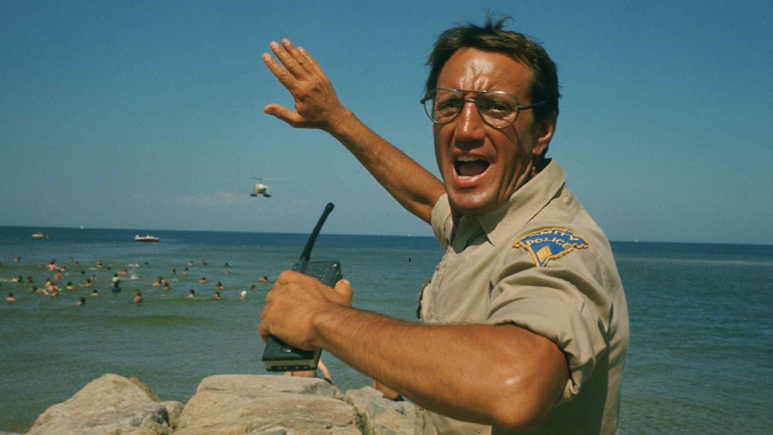 Cropped Jaws