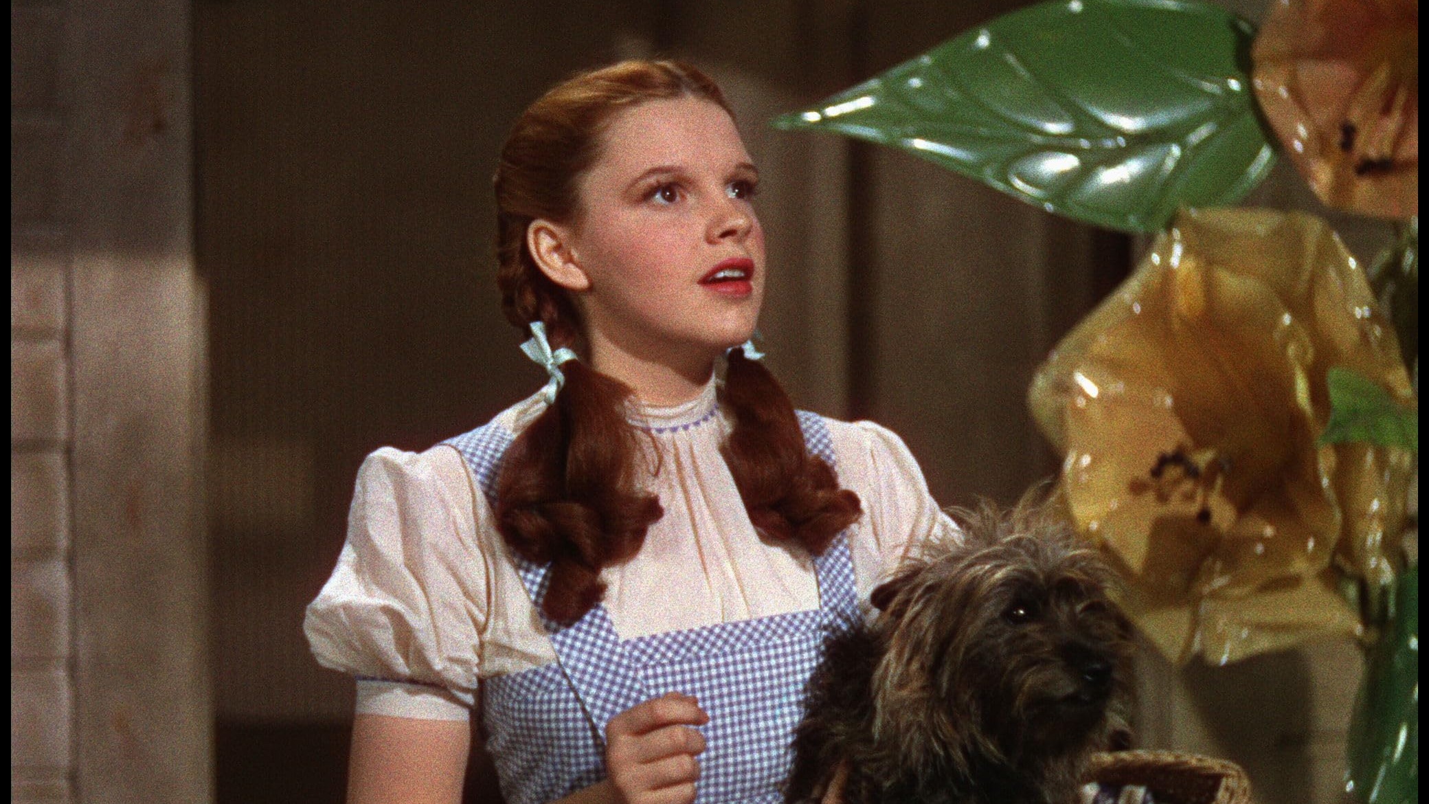 Cropped Judy Garland The Wizard of Oz