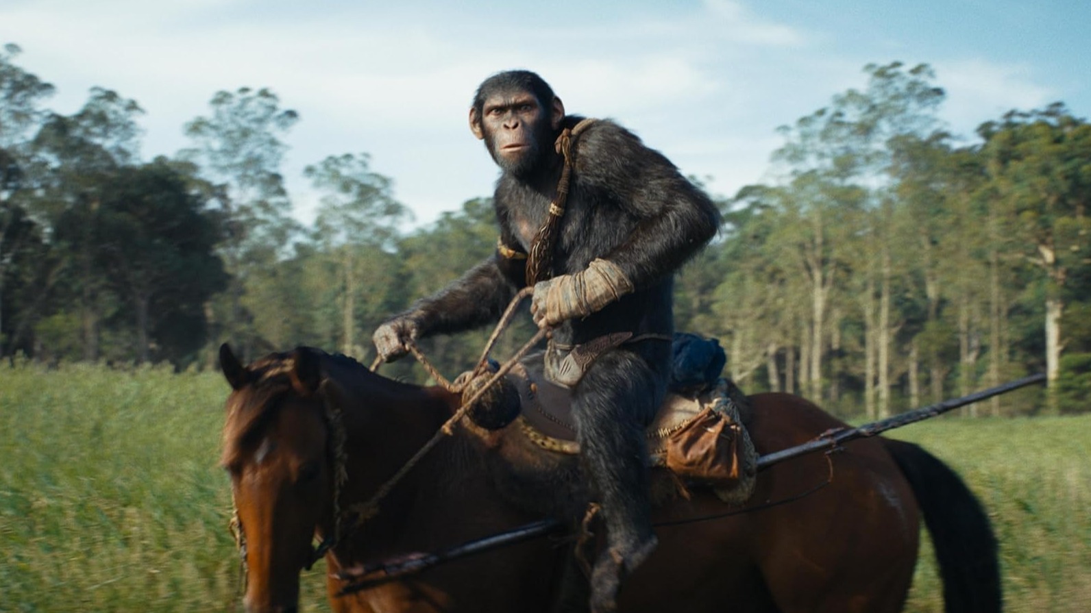 Cropped Kingdom of the Planet of the Apes