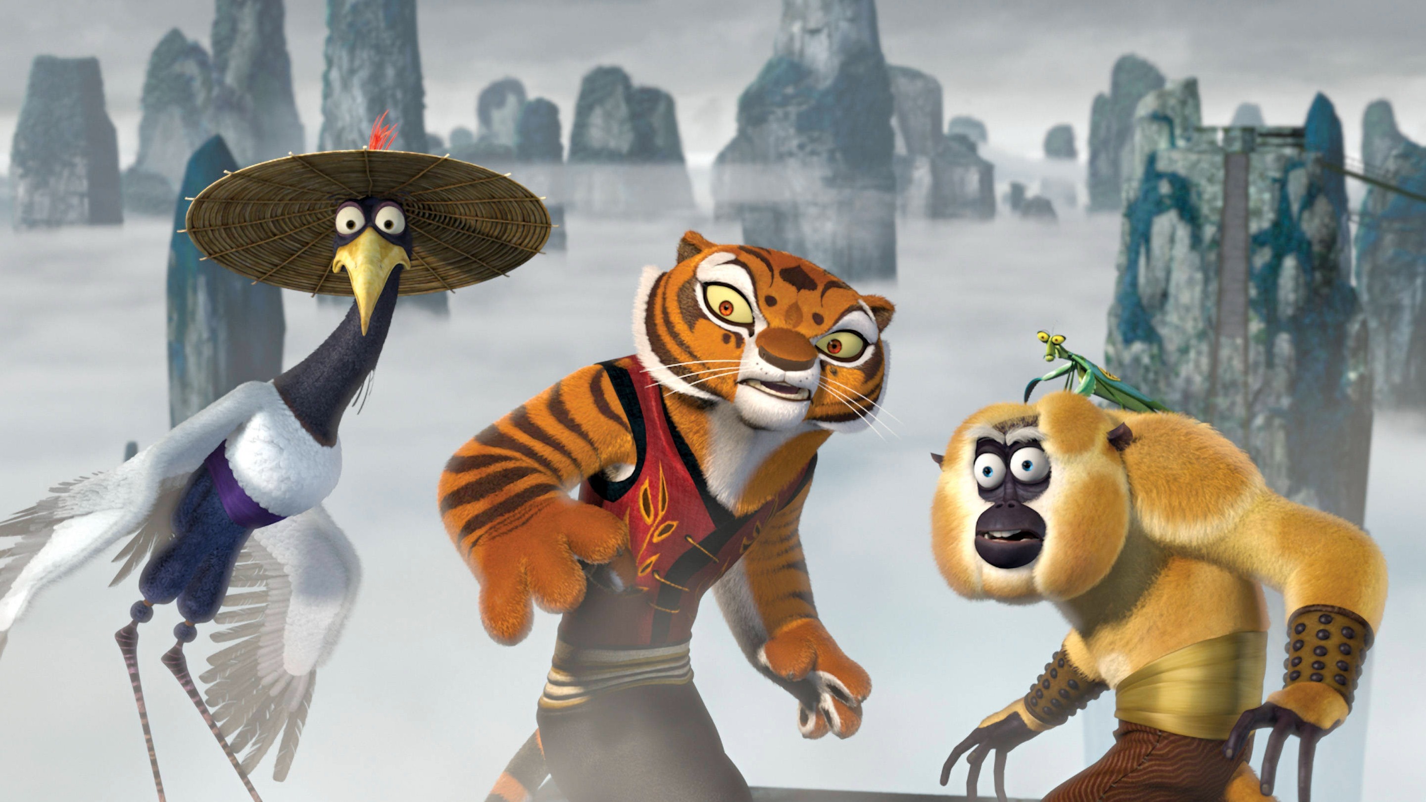 Cropped Kung Fu Panda
