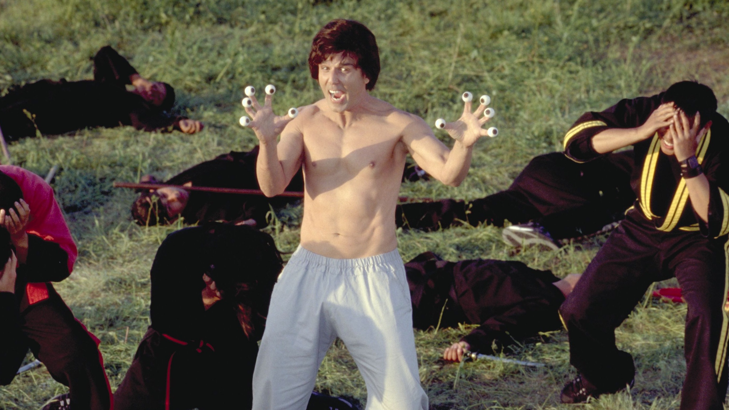 Cropped Kung Pow Enter the Fist