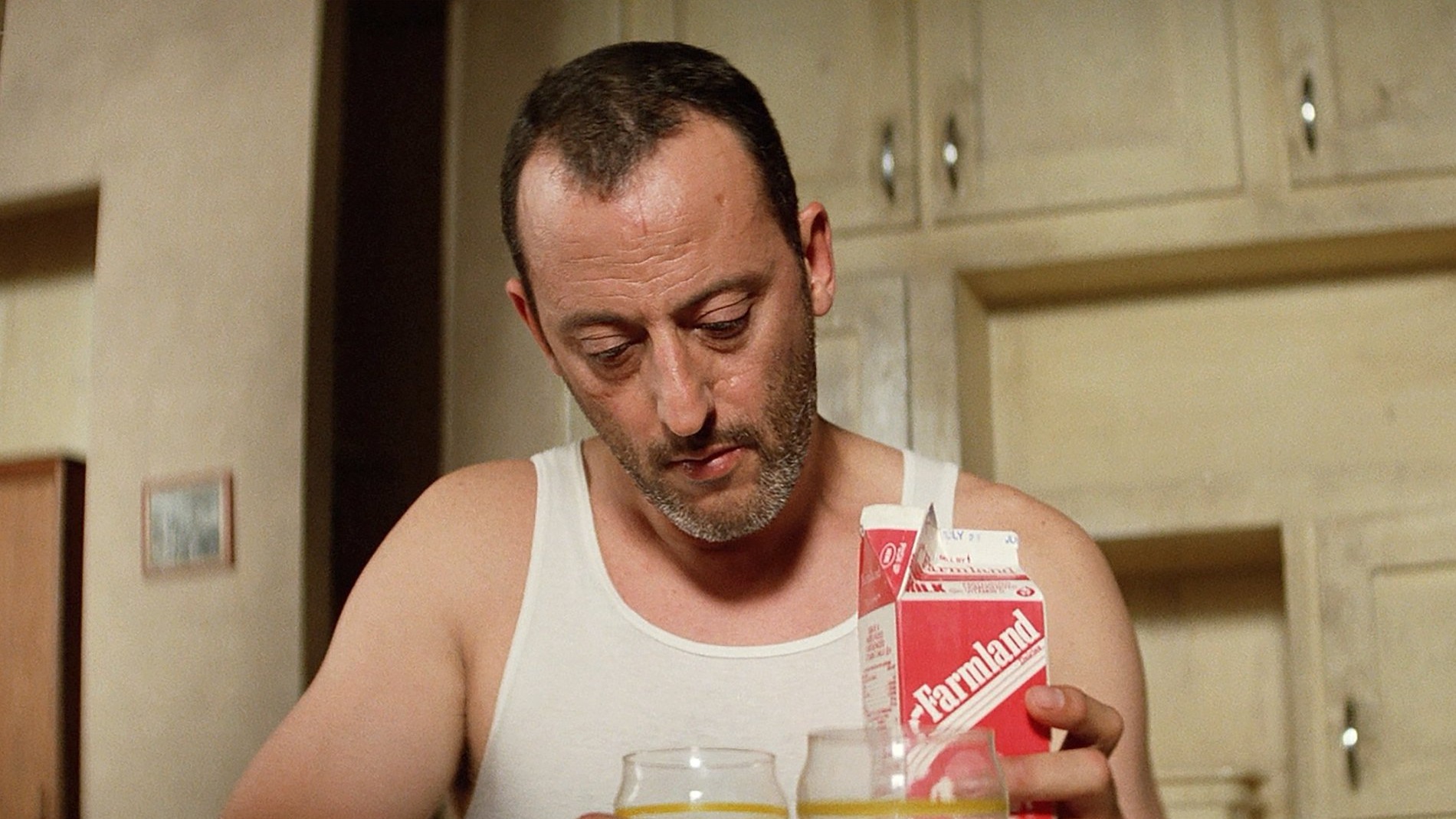 Cropped Leon The Professional