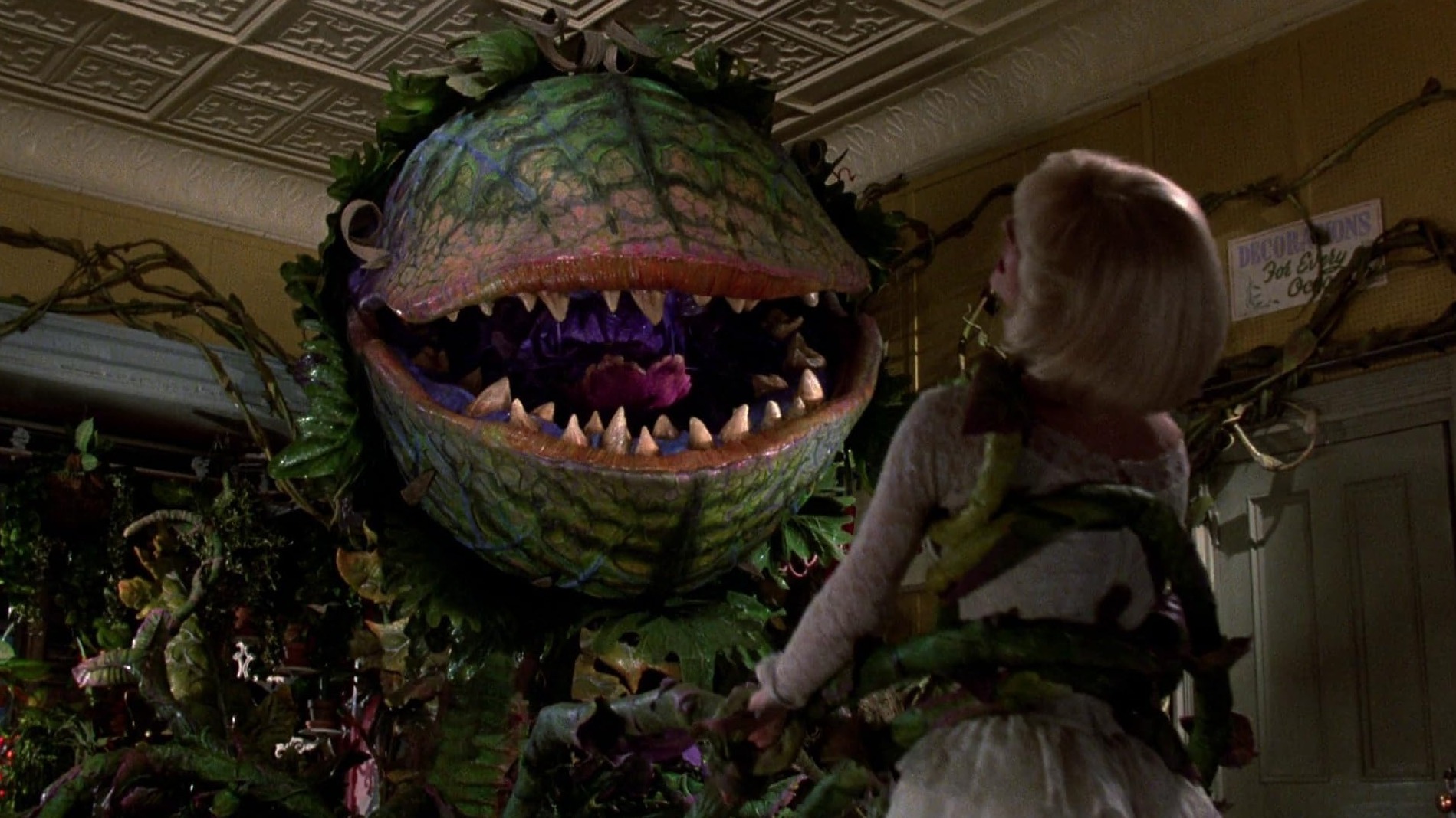 Cropped Little Shop of Horrors