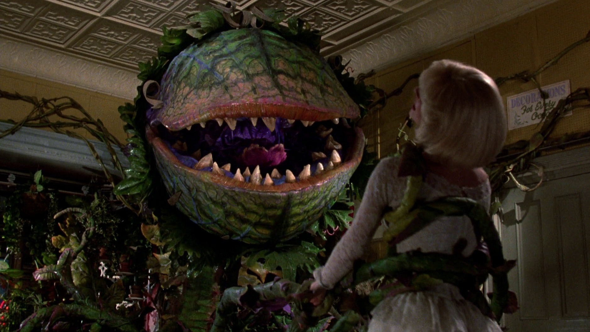 Cropped Little Shop of Horrors