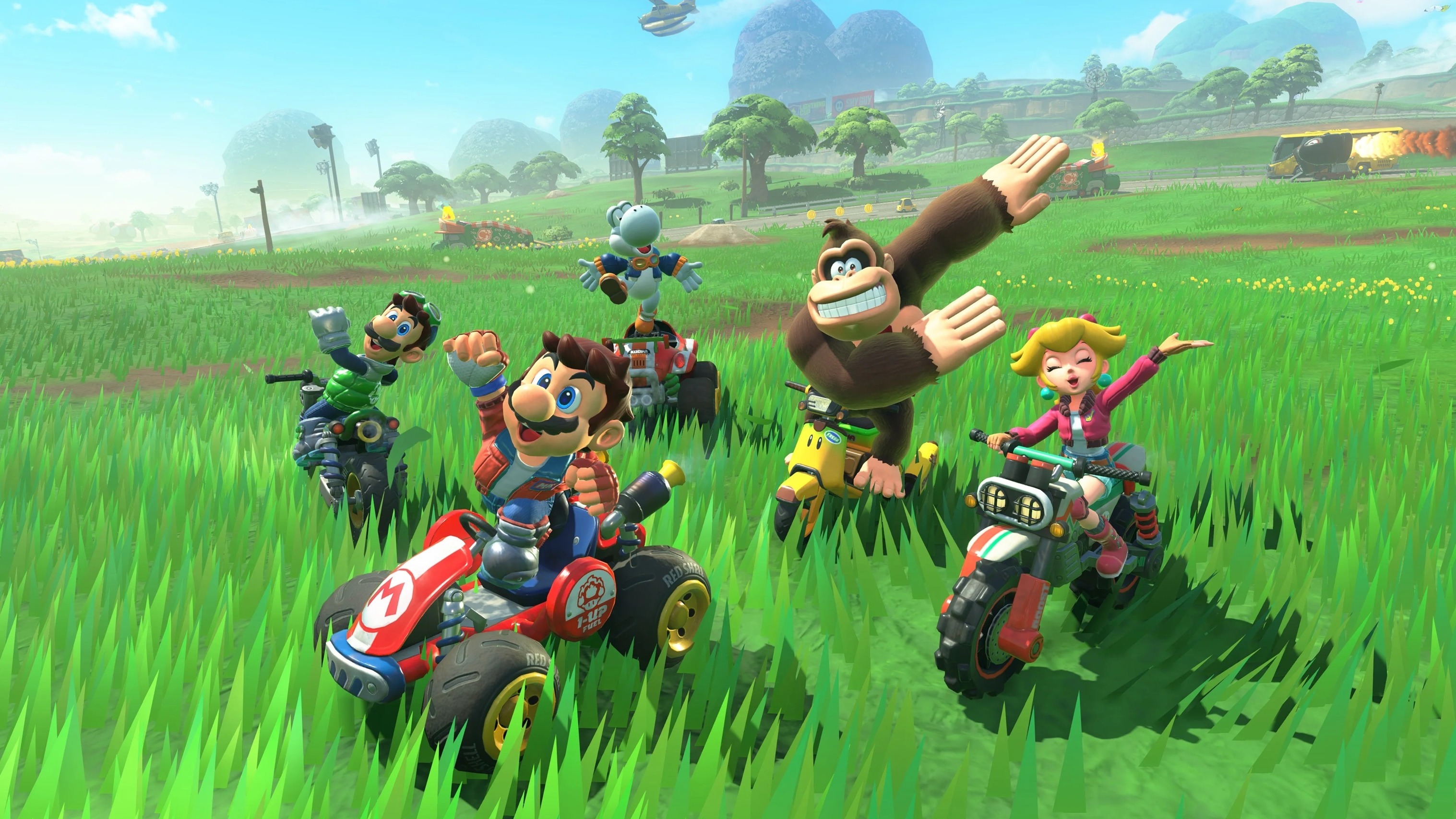 Cropped Mario kart World