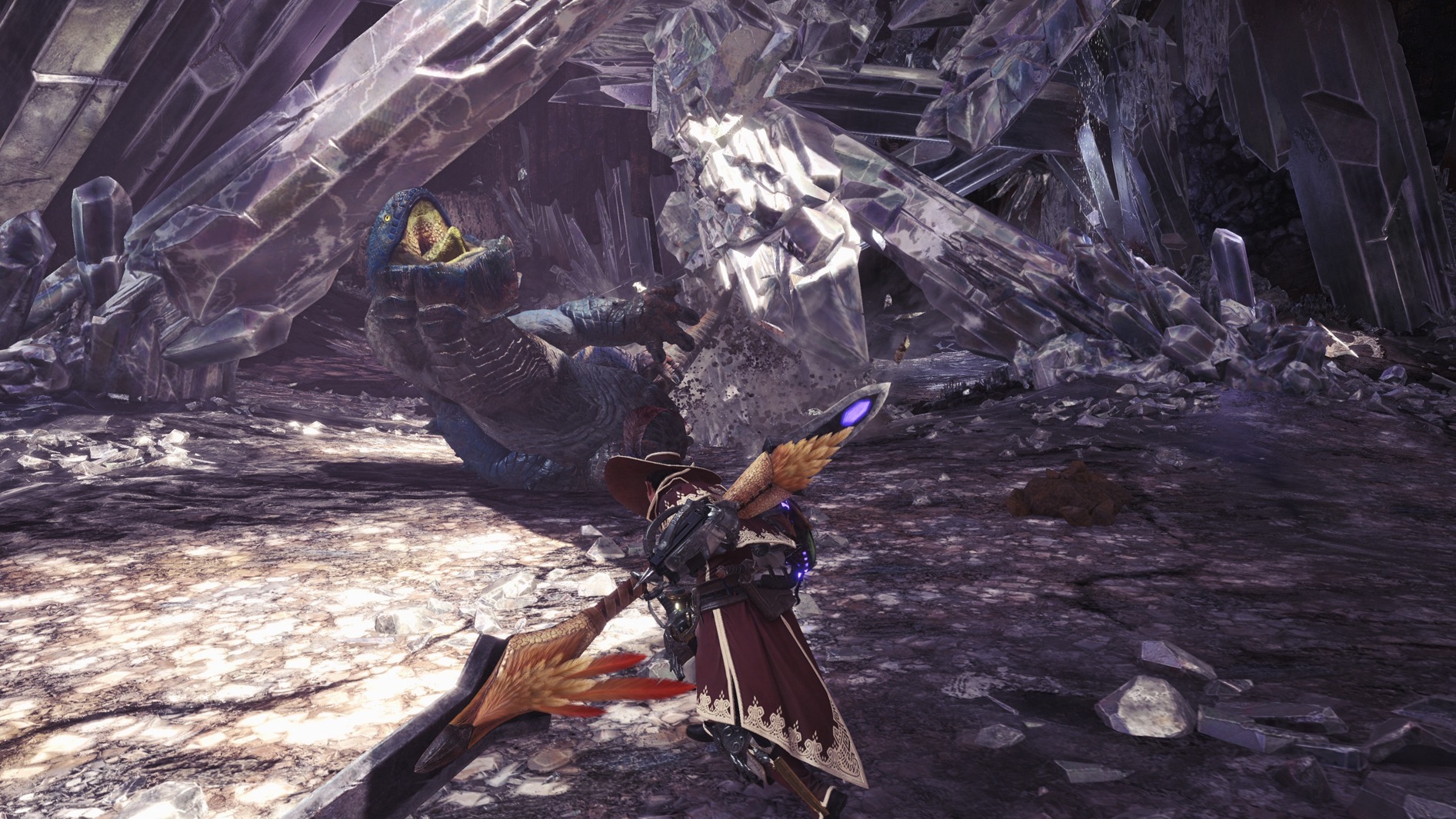 Cropped Monster Hunter