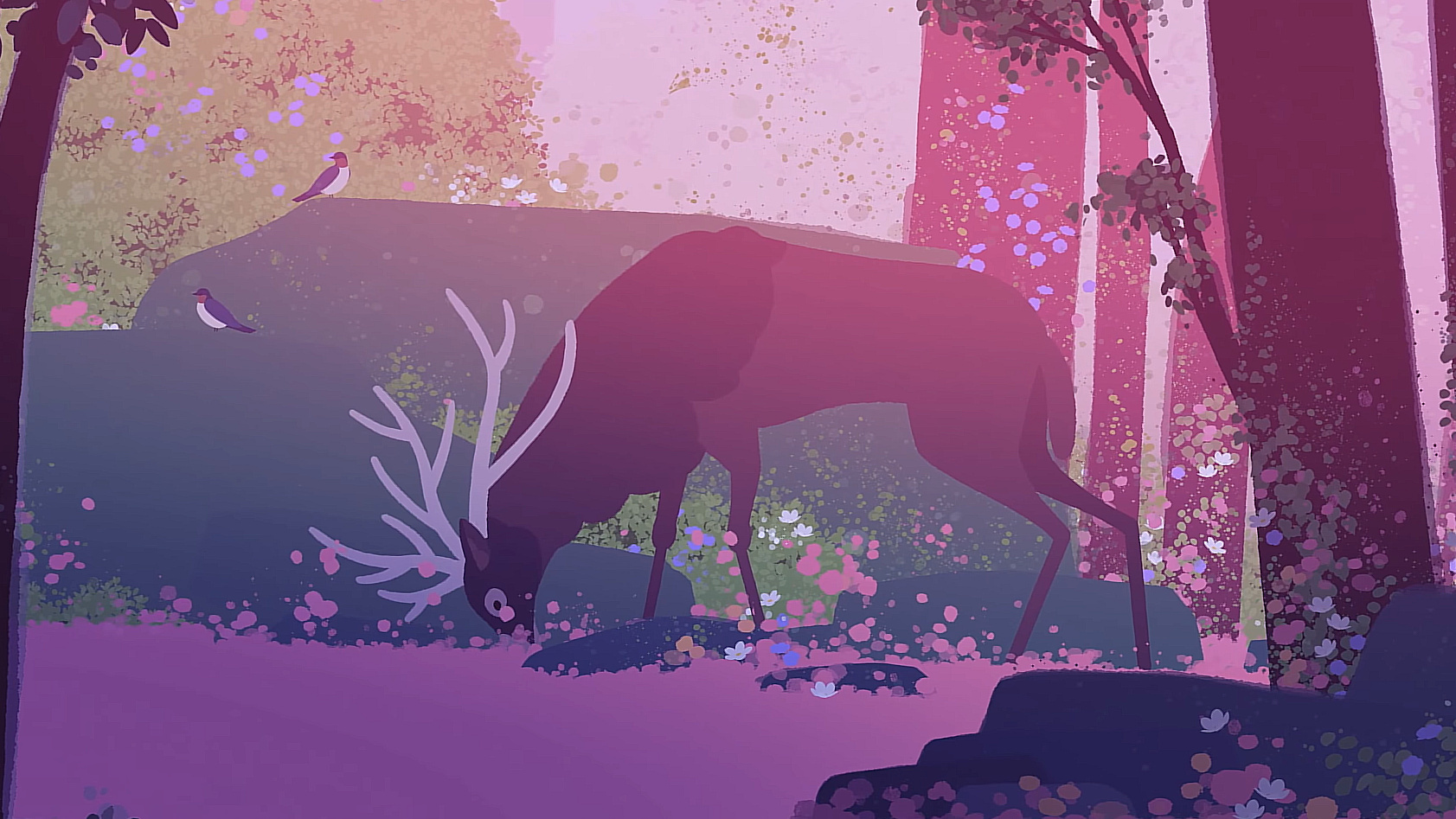 Cropped Neva Prologue