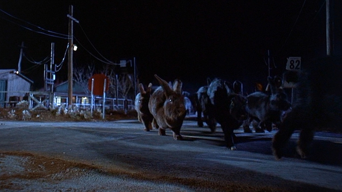 Cropped Night of the Lepus
