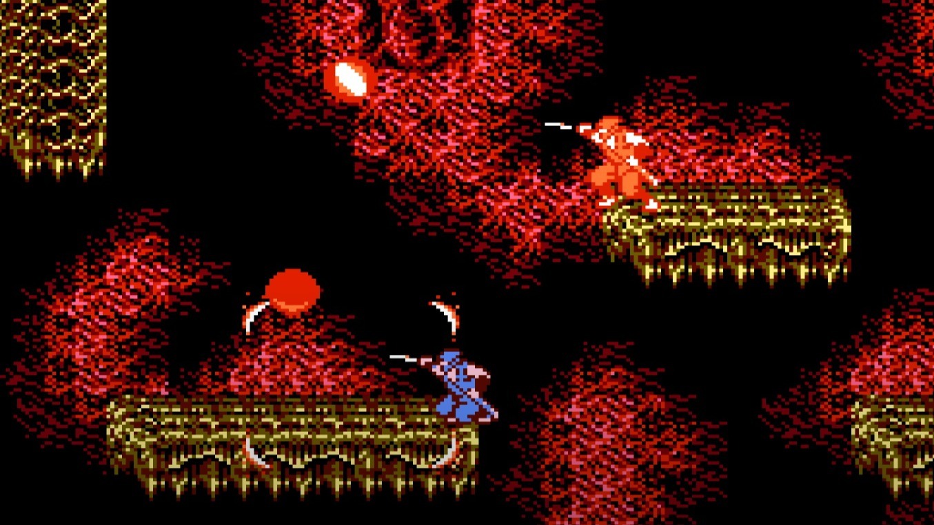 Cropped Ninja Gaiden 2