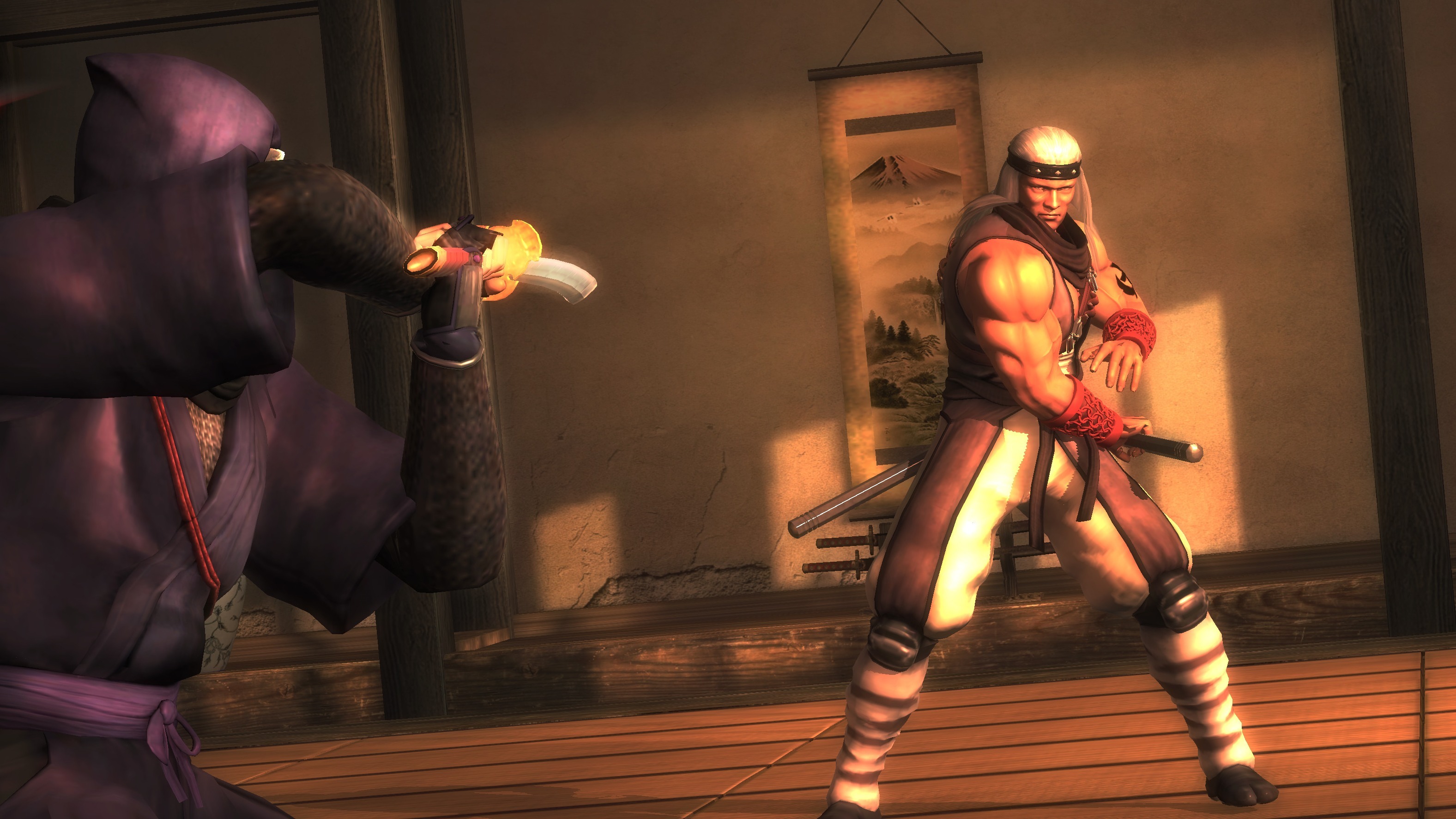 Cropped Ninja Gaiden Sigma 2