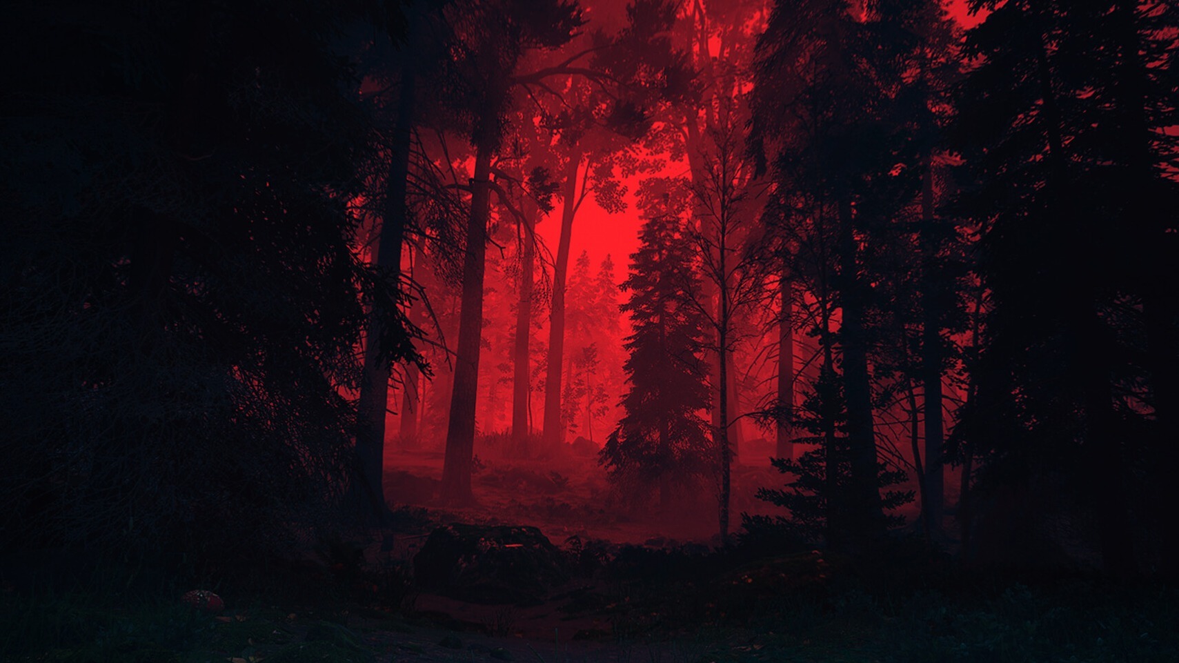 Cropped Nowhere