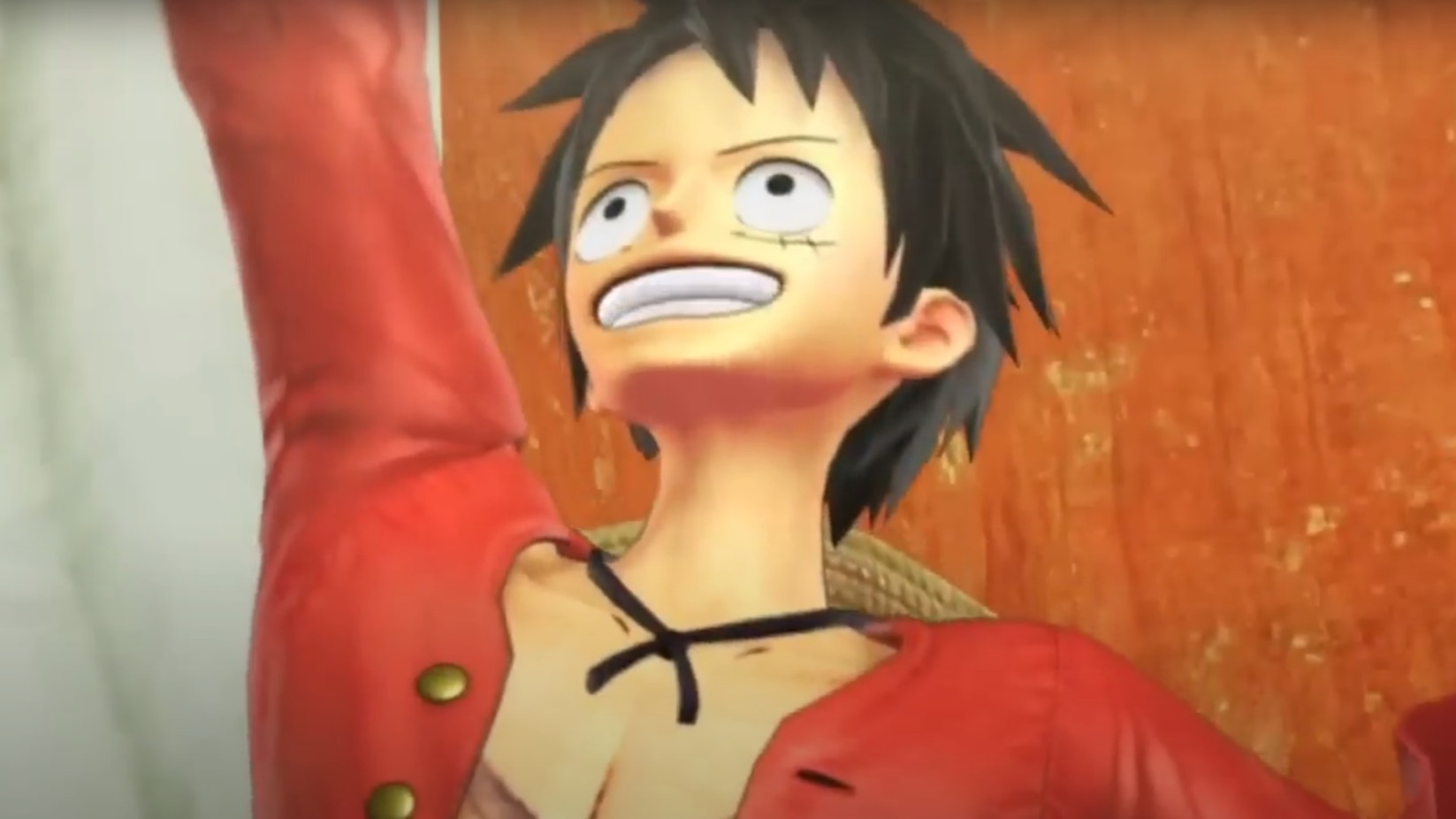 Cropped One Piece Pirate Warriors 2