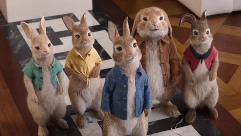 Cropped Peter Rabbit 2