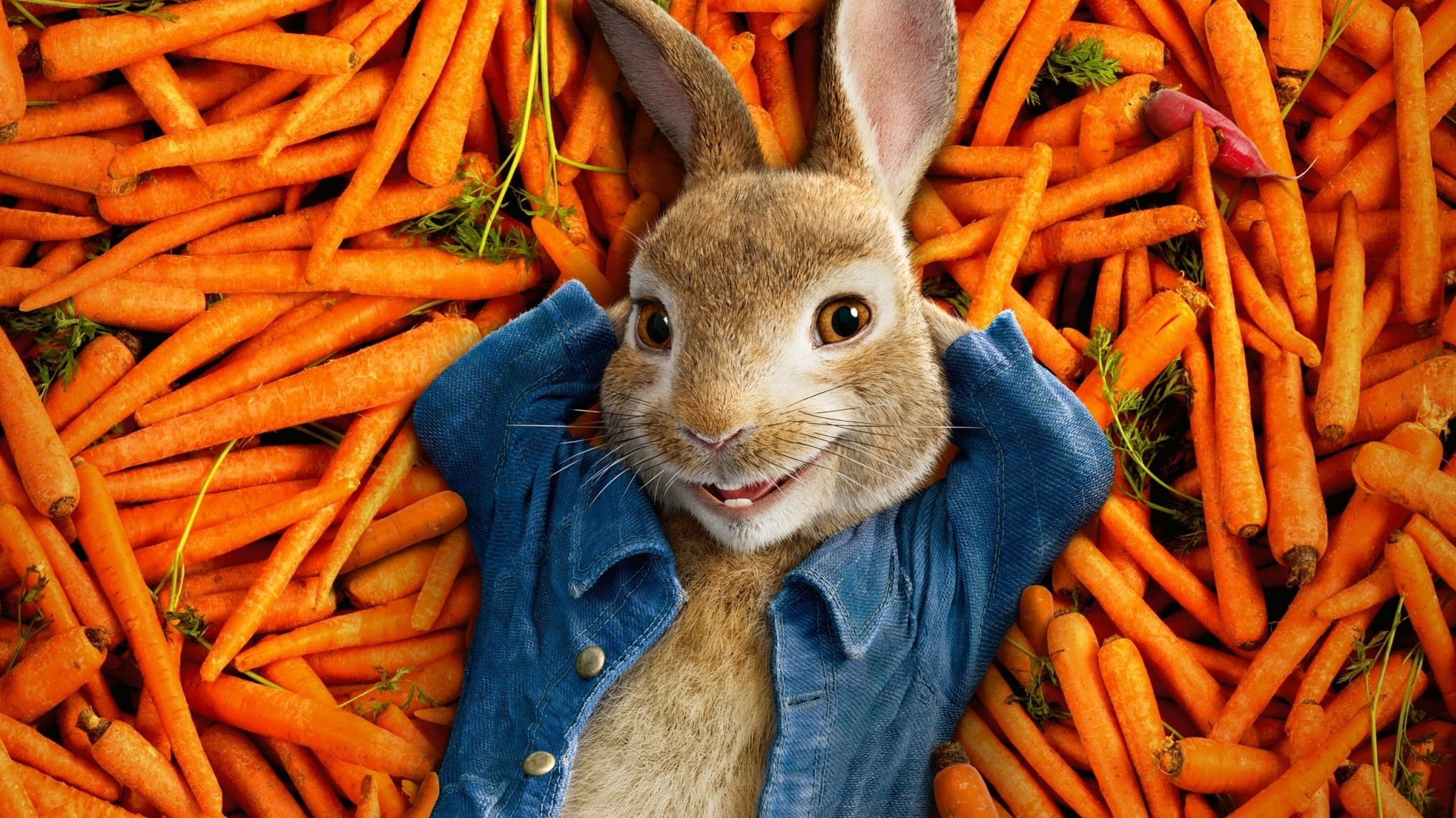 Cropped Peter Rabbit