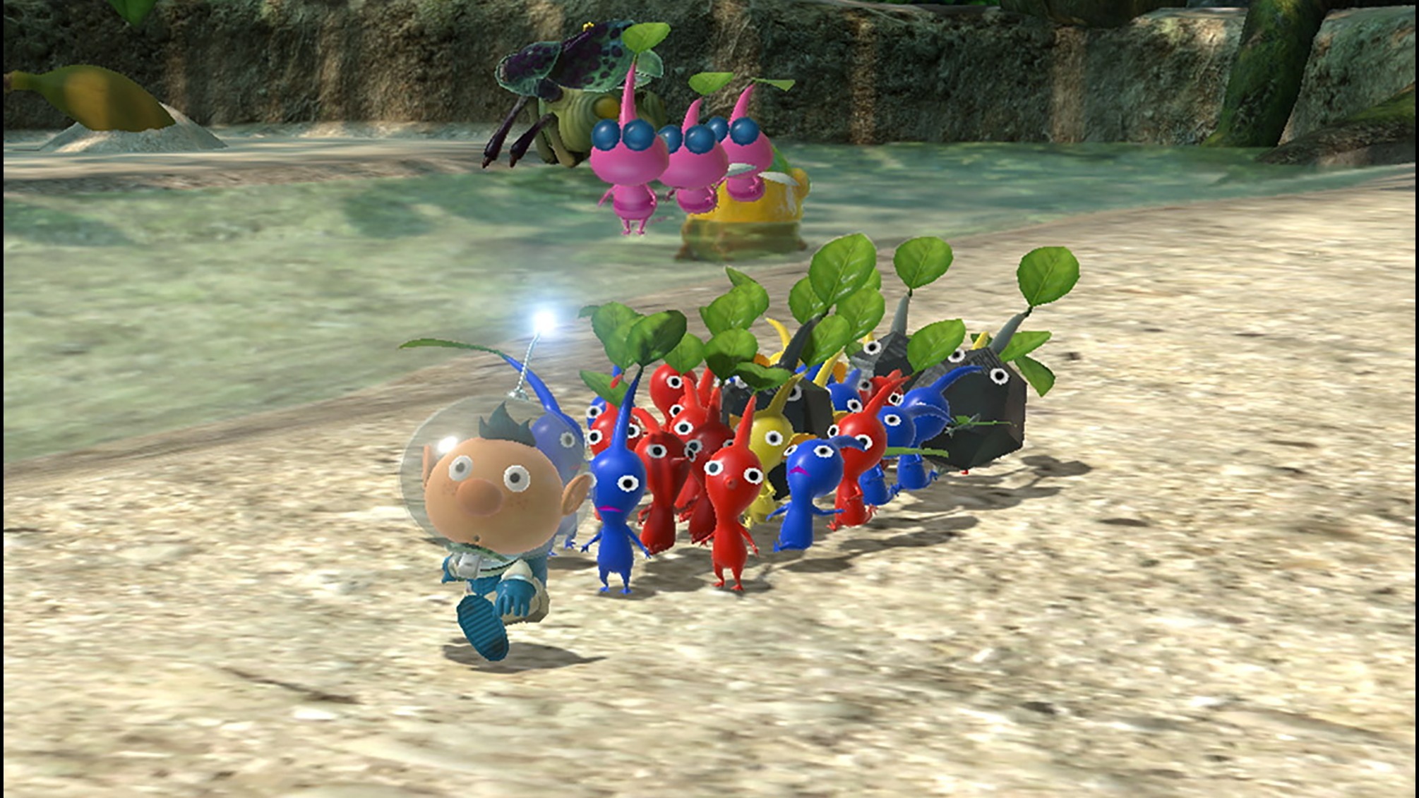 Cropped Pikmin