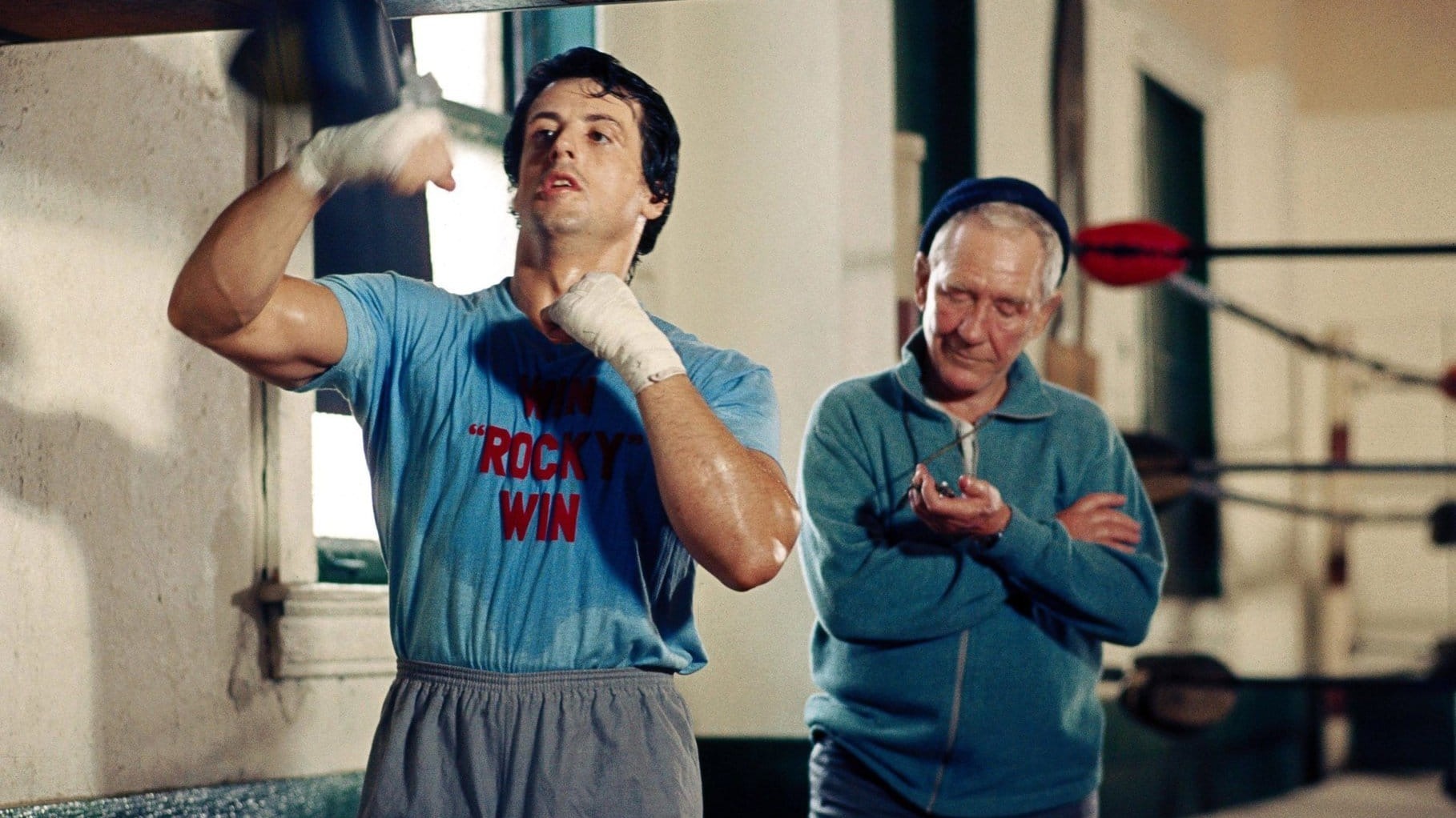 Cropped Rocky