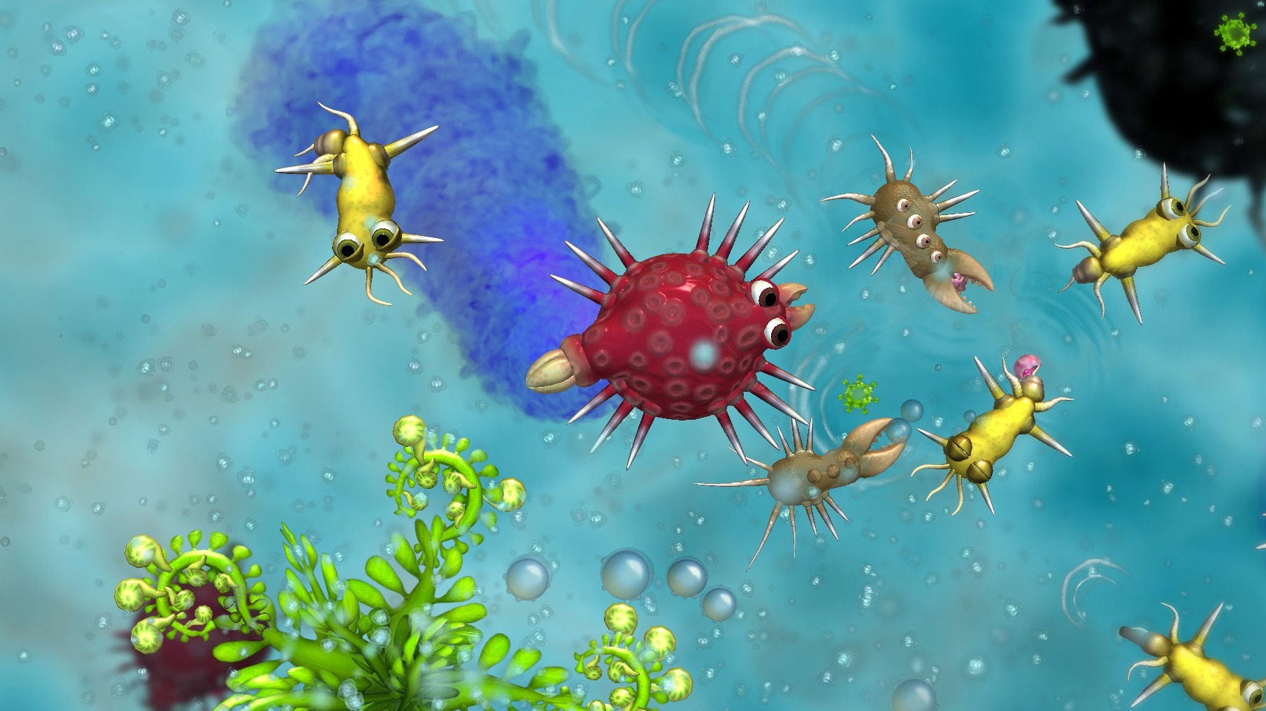 Cropped SPORE