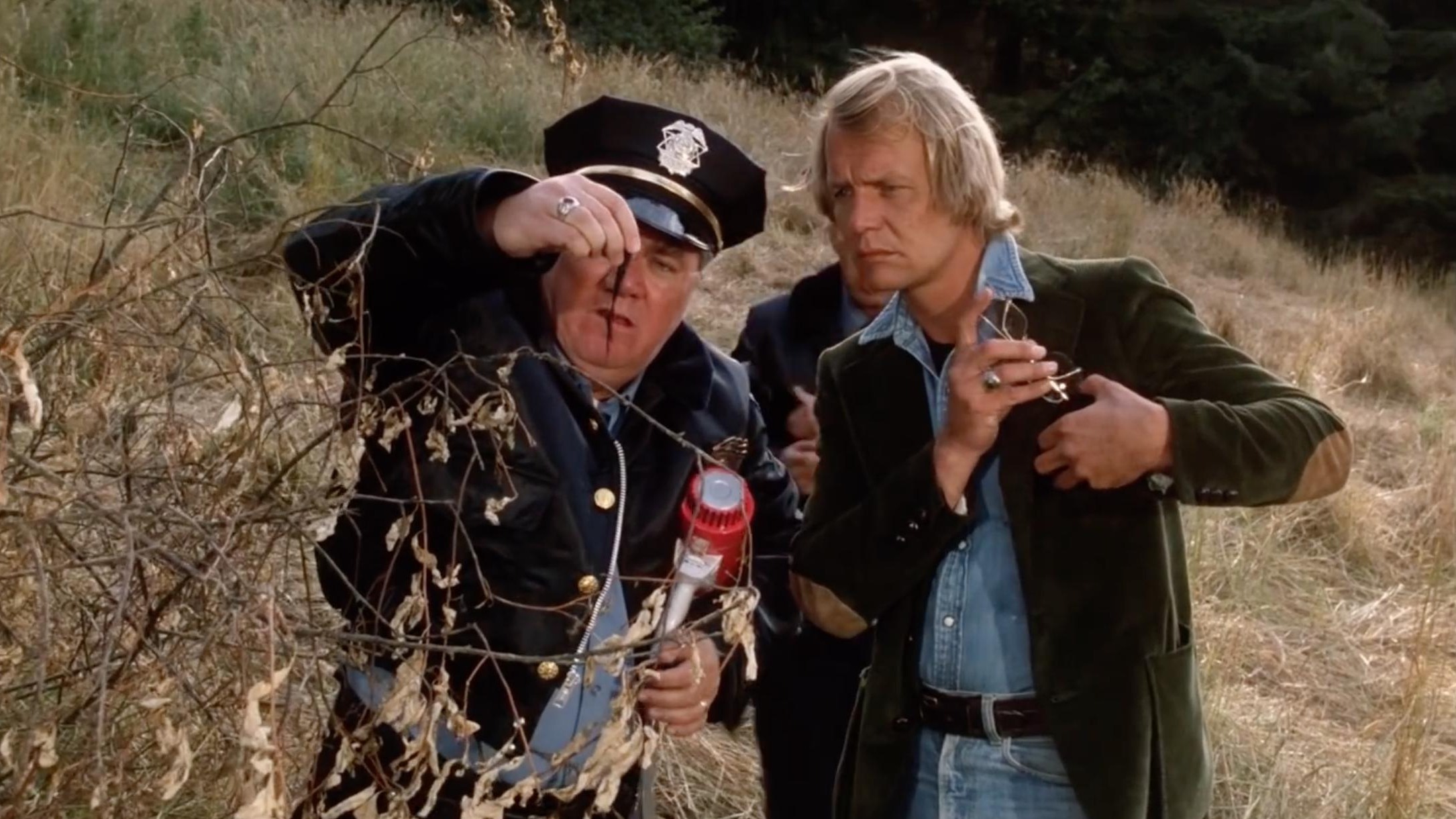 Cropped Salems Lot 1979