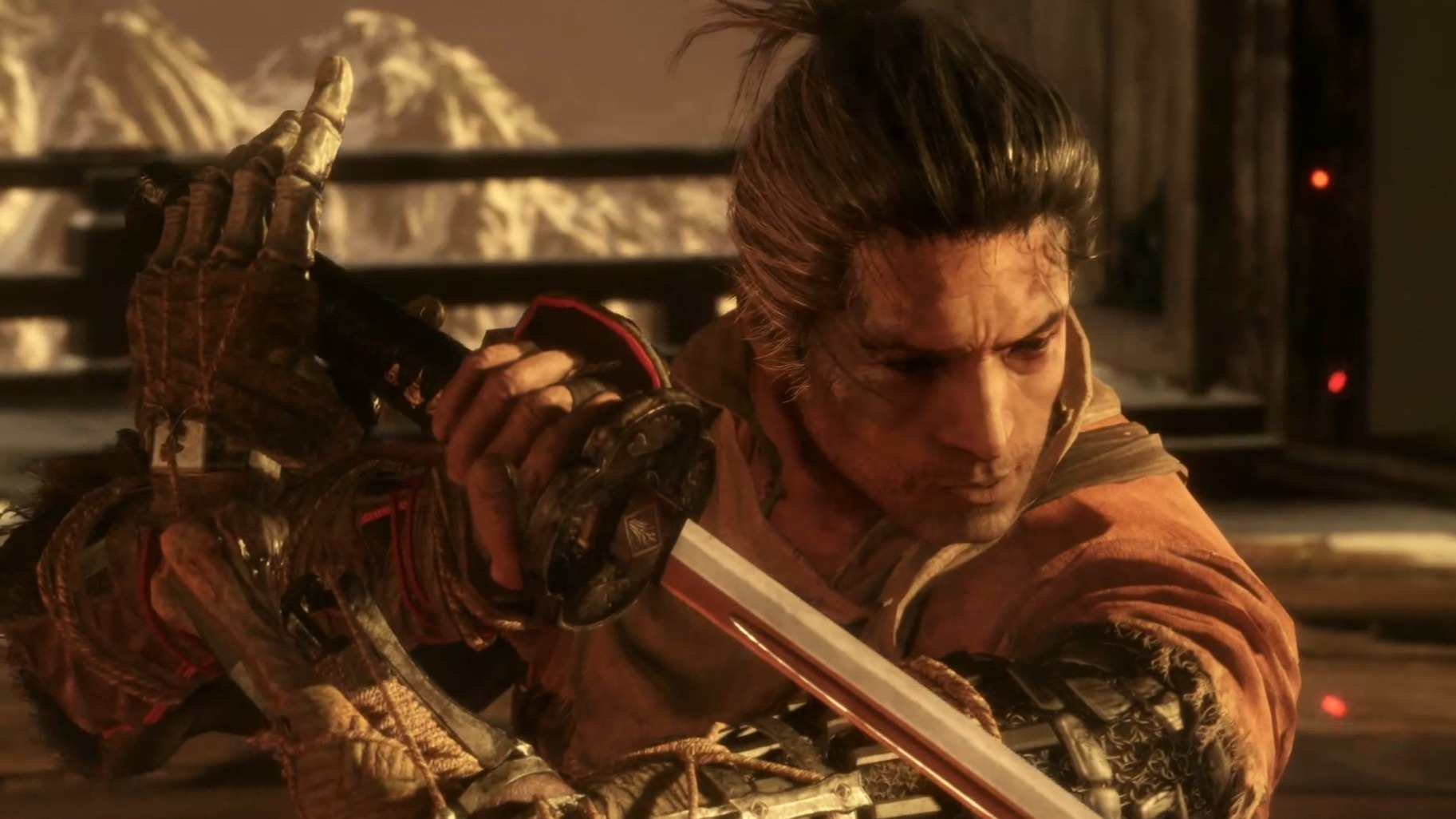 Cropped Sekiro