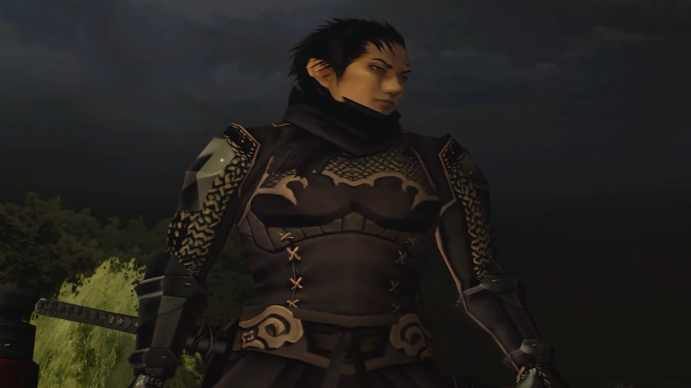 Cropped Shinobido Way of the Ninja