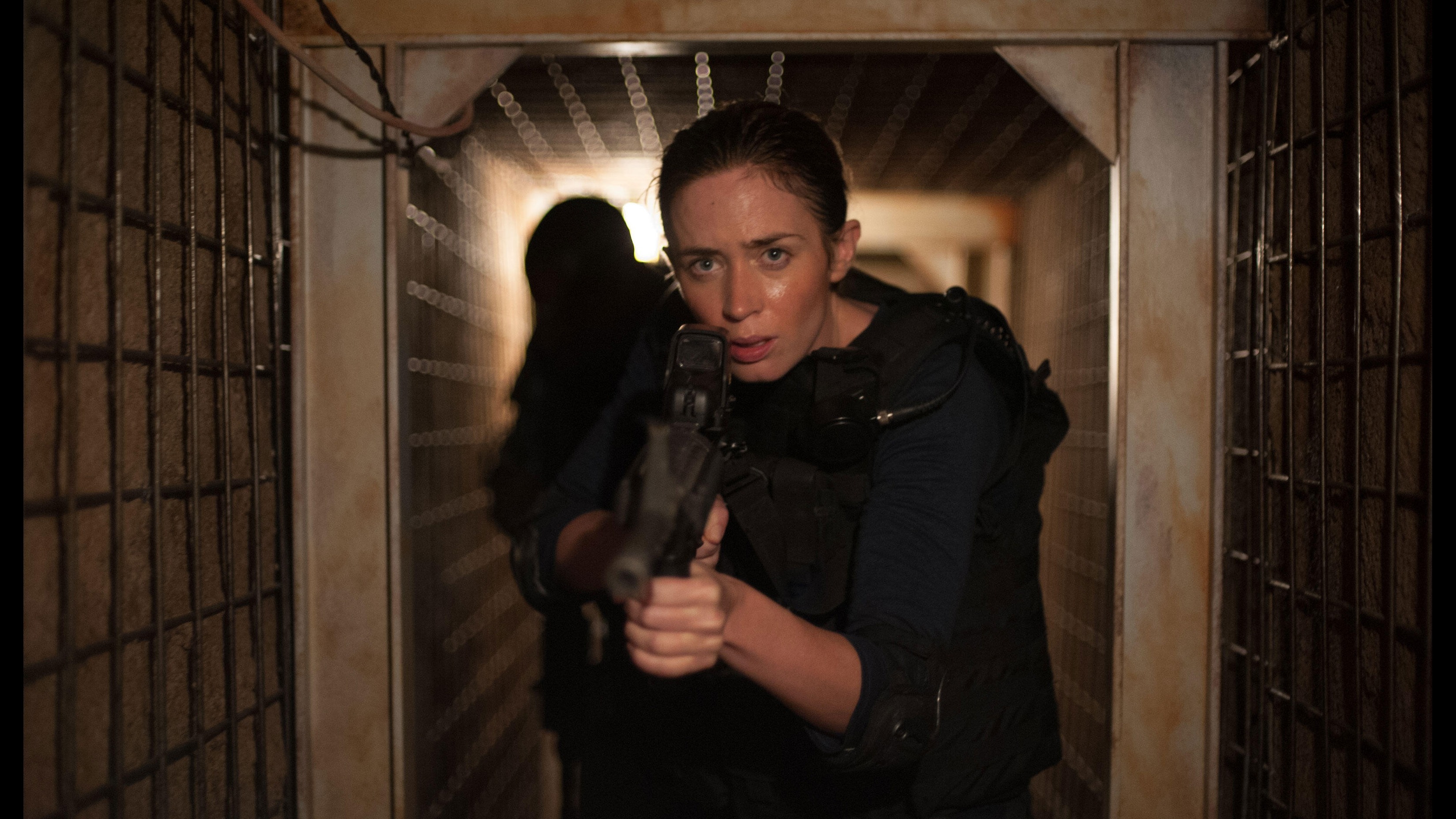 Cropped Sicario
