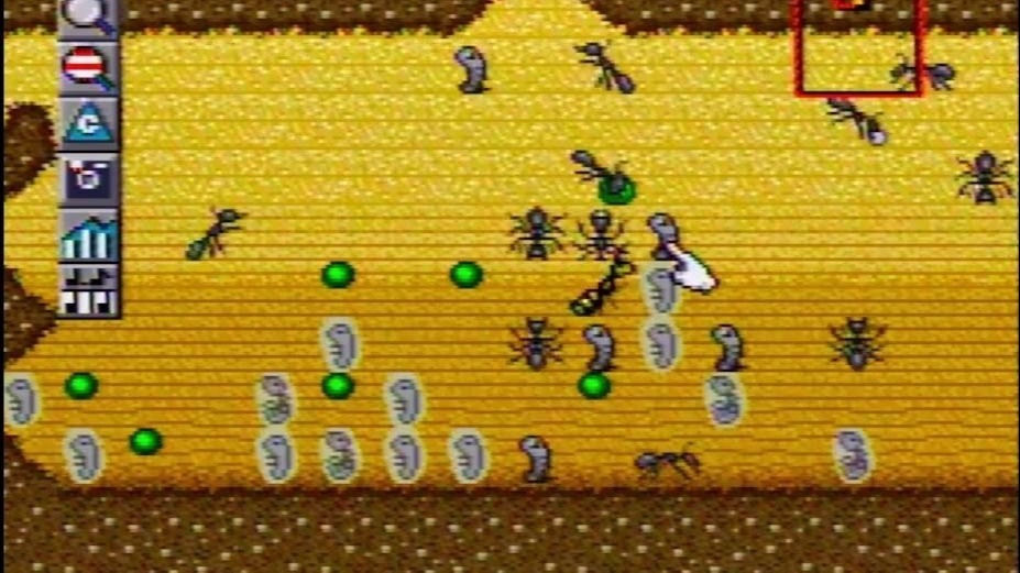 Cropped Sim Ant