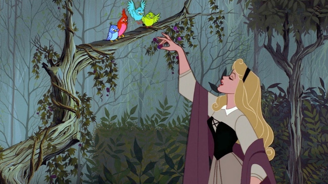 Cropped Sleeping Beauty Aurora