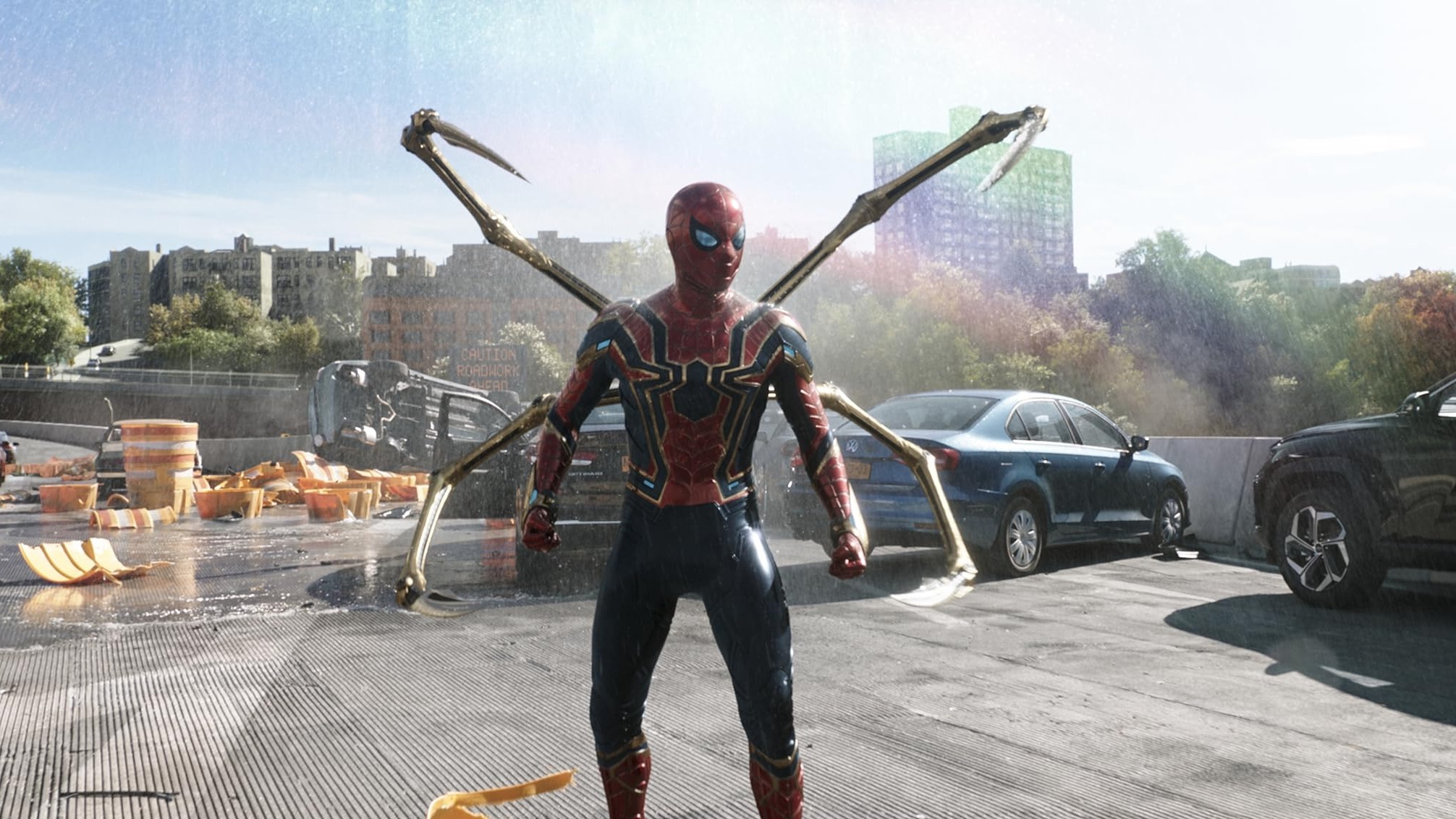 Cropped Spider Man No Way Home