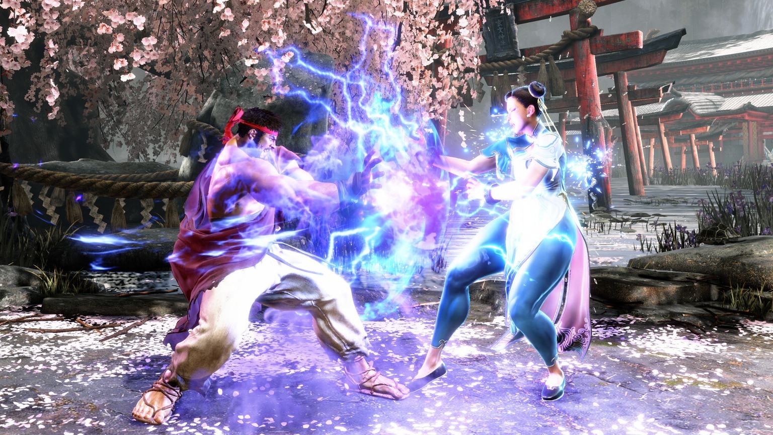 Cropped Street Fighter