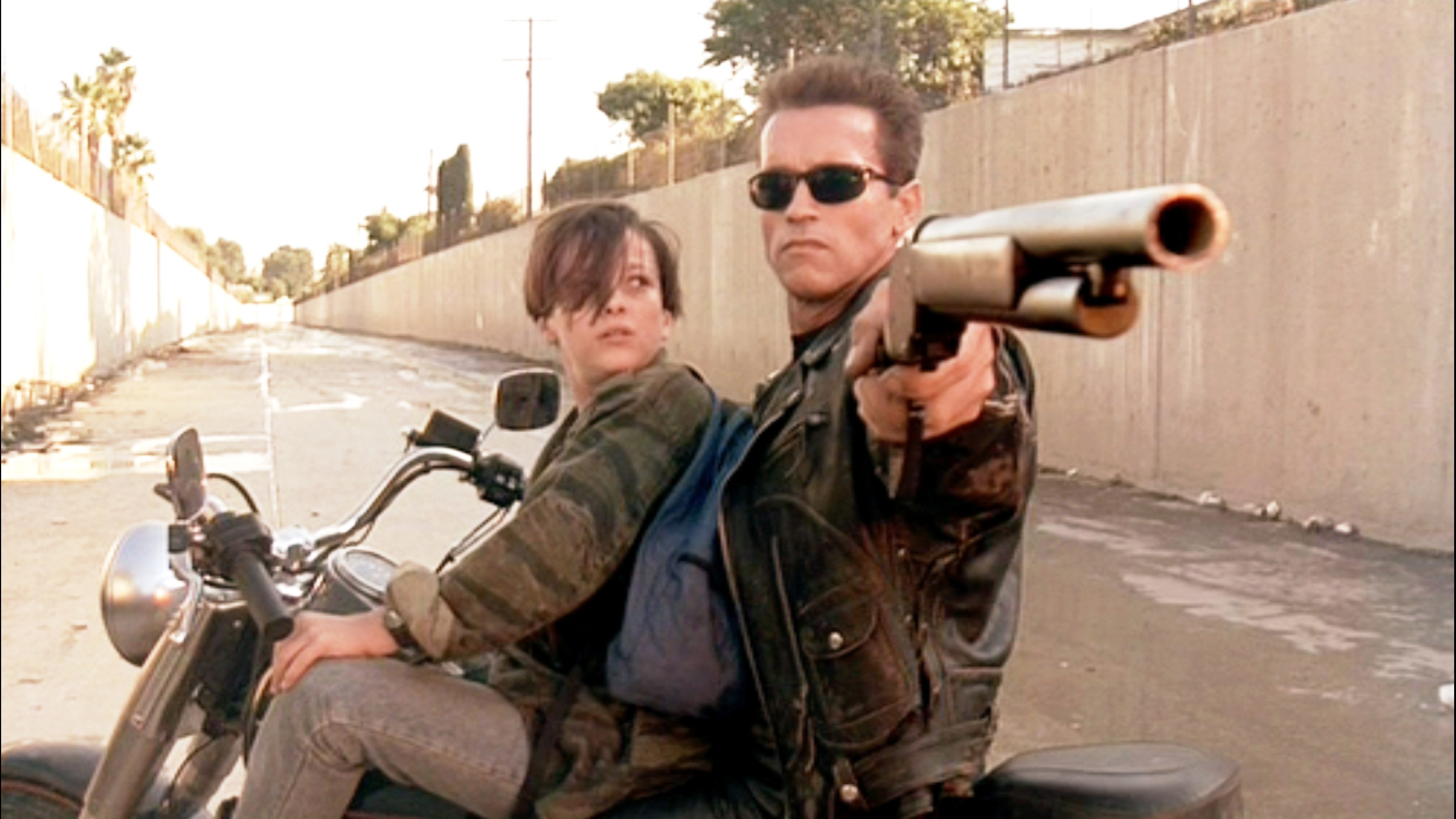 Cropped Terminator 2 Judgment Day 1991