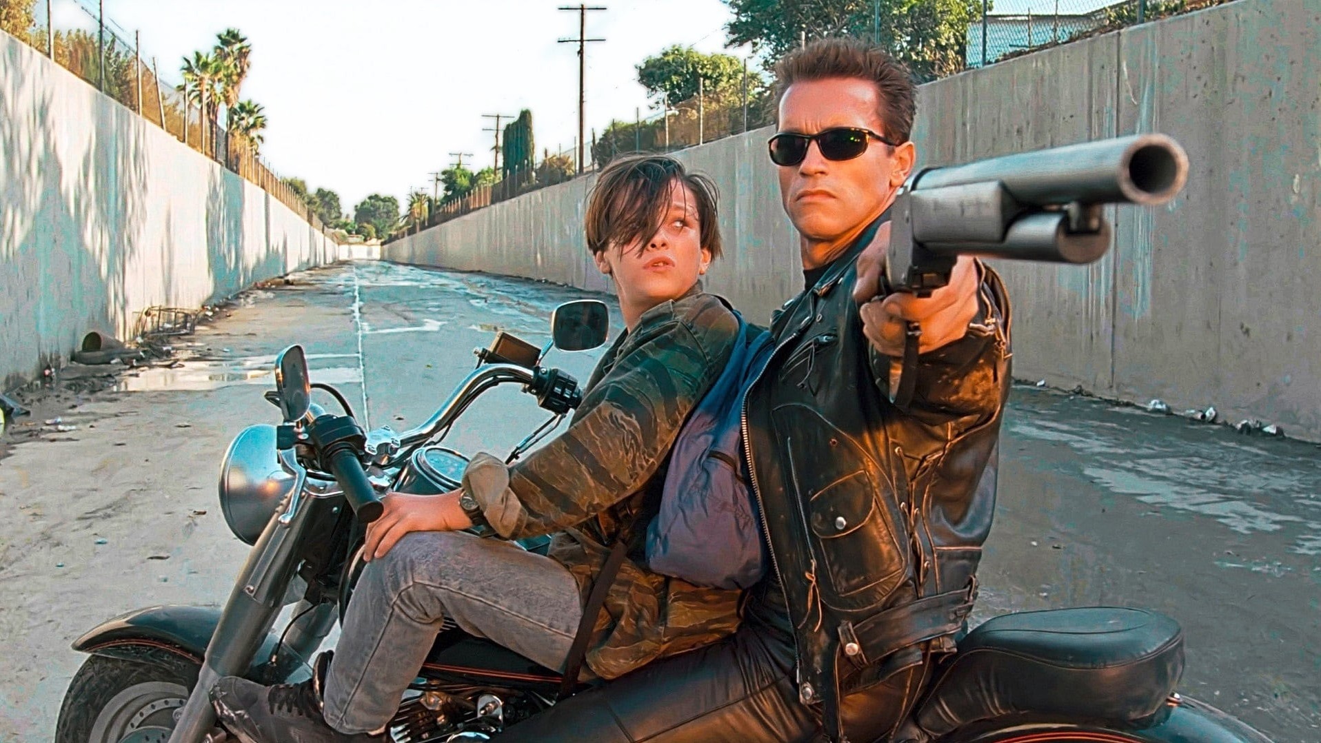 Cropped Terminator 2