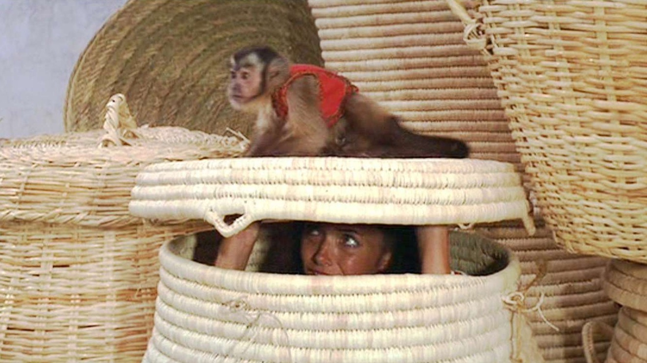 Cropped That Damned Monkey